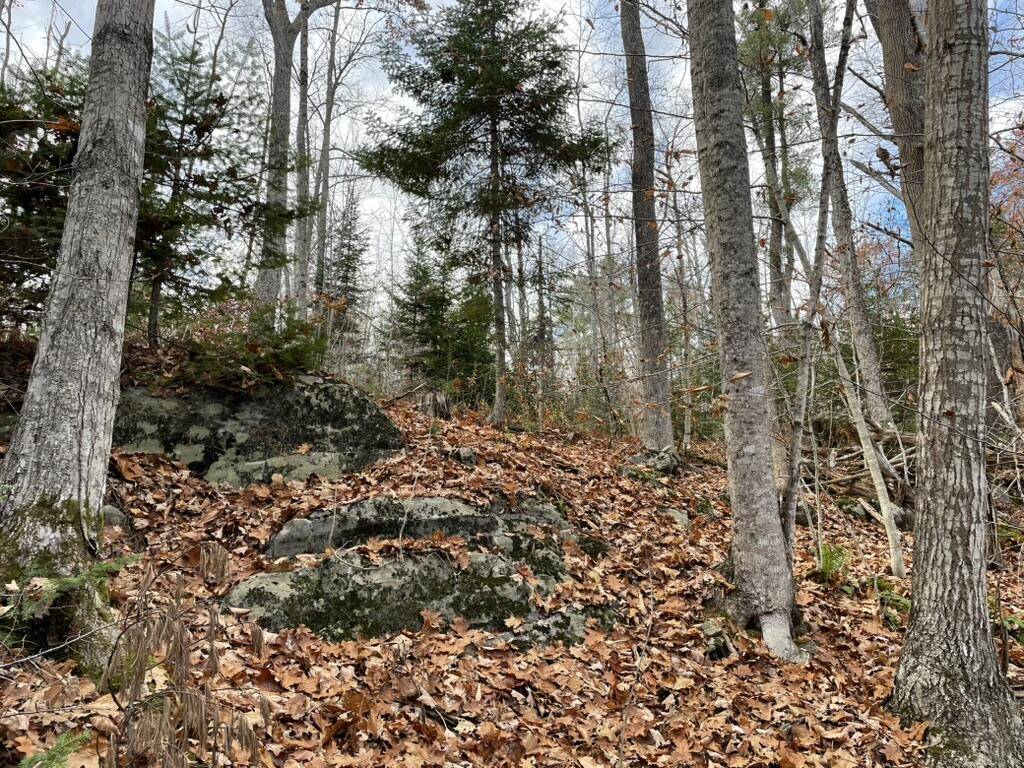 Alna, ME 04535,Lot 21 Old Sheepscot RD