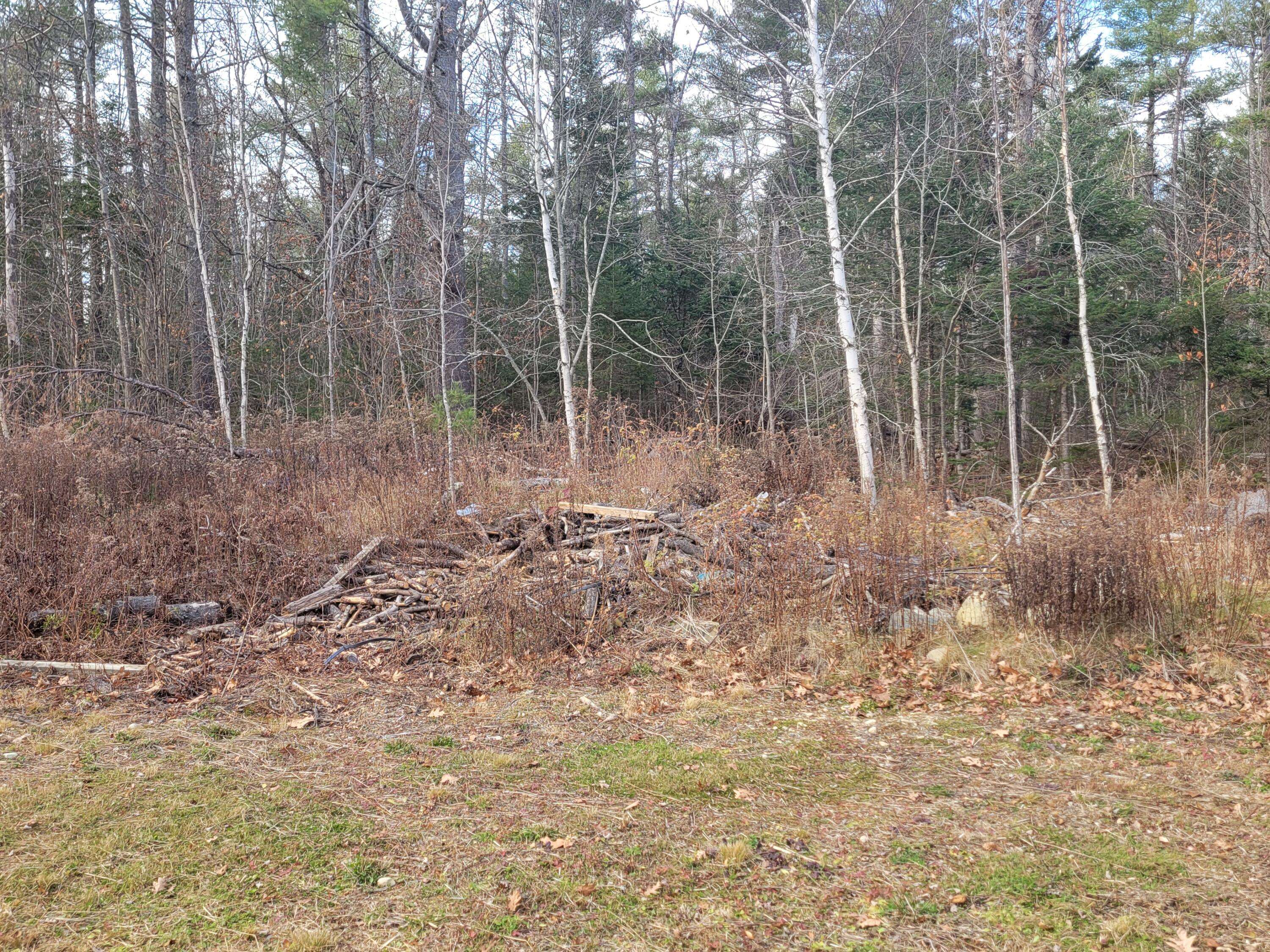 Searsport, ME 04974,40 Savery RD