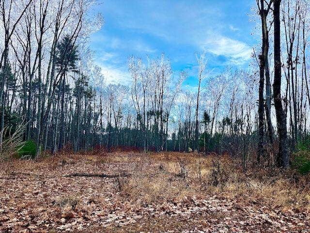 Lyman, ME 04002,Lot # Wyman ST