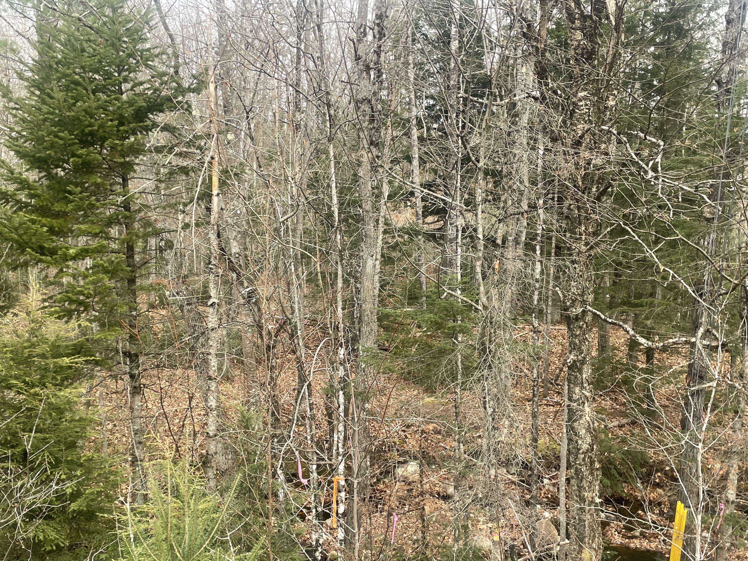 Roxbury, ME 04275,Lot 22 Roxbury Notch road RD