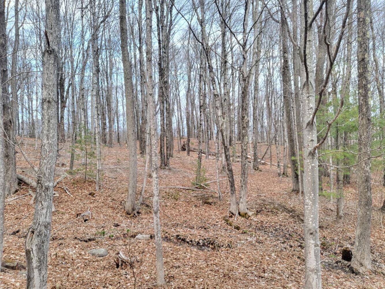 Wilton, ME 04294,M34 L183-1 Temple RD