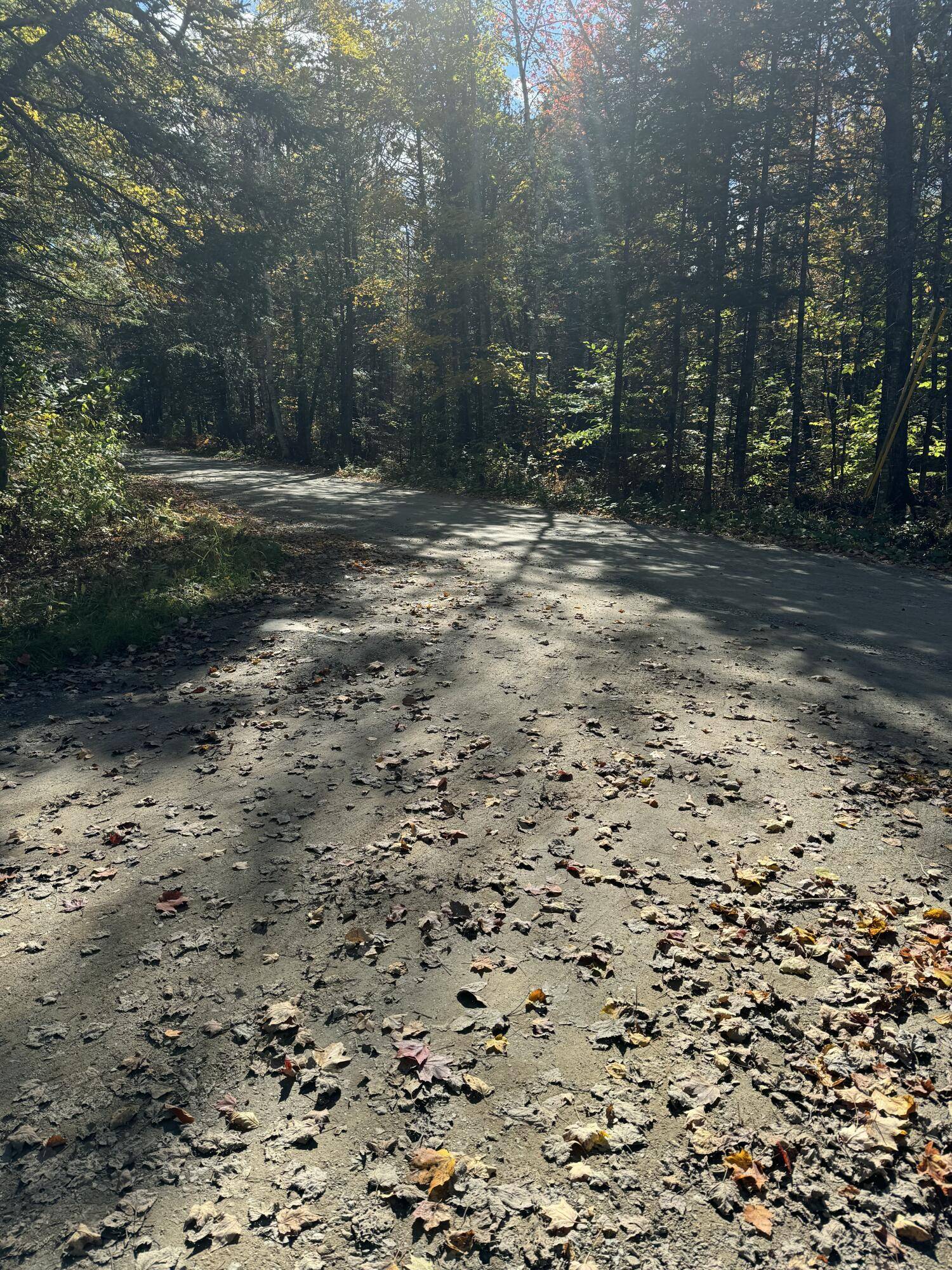Newport, ME 04953,Lot 9-1 Lilly DR