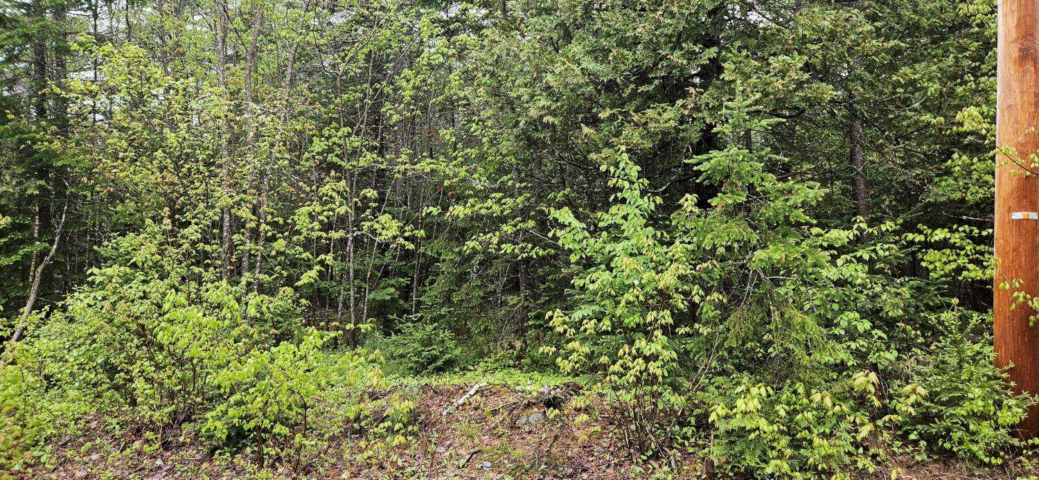 New Vineyard, ME 04956,MR8 L4-5 Shingle Mill DR