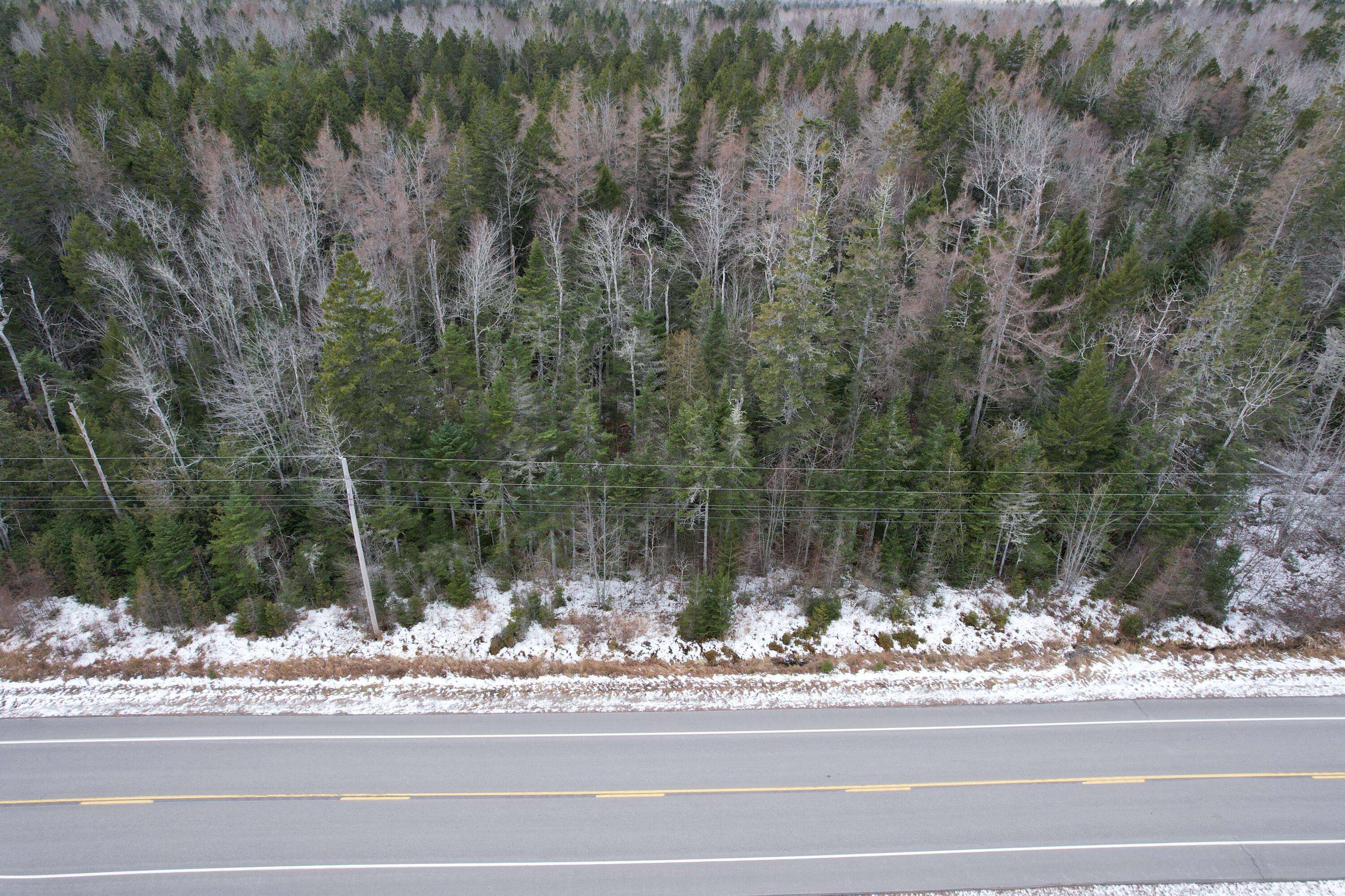 Perry, ME 04667,Lot 51 US-1