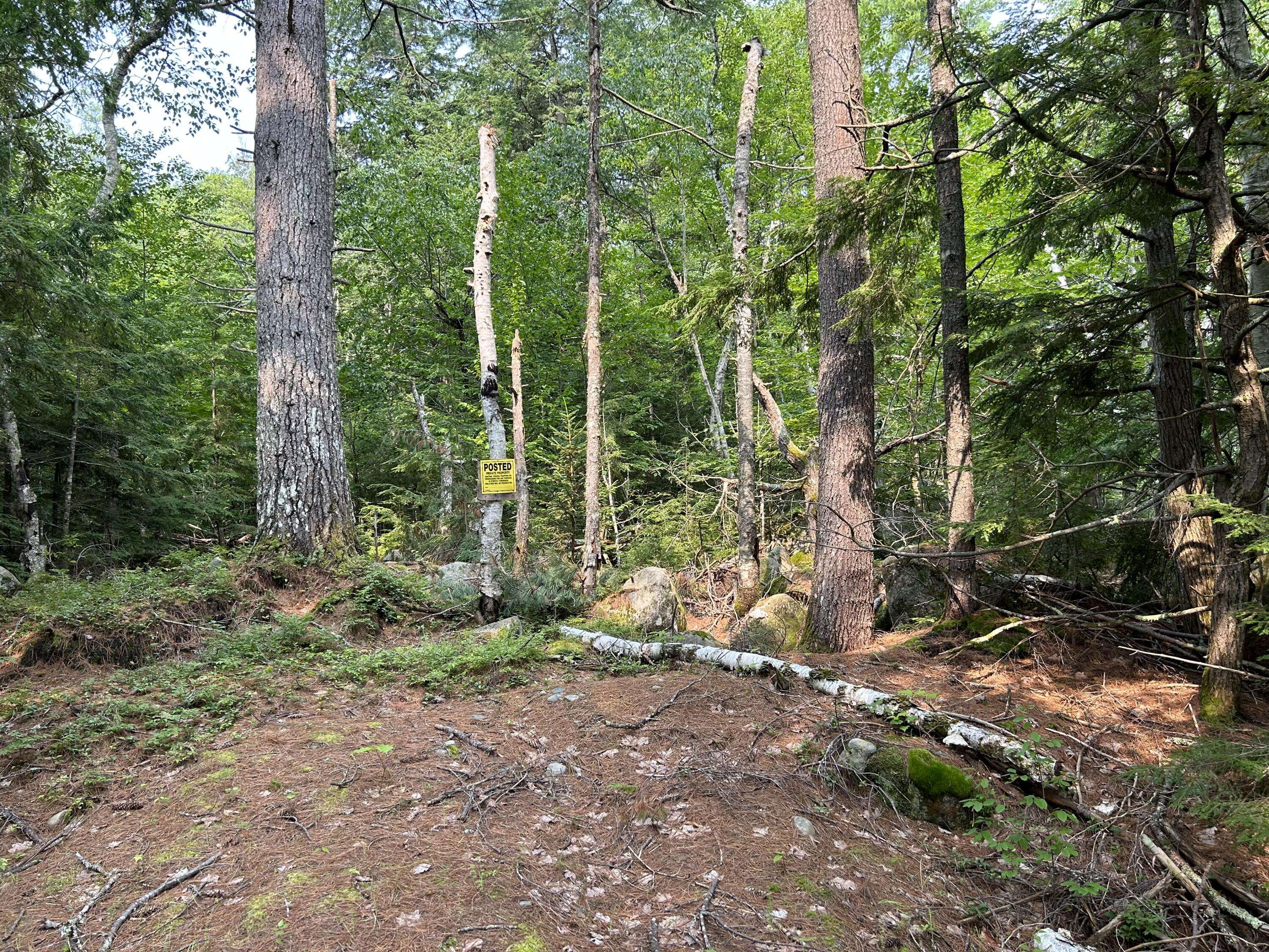 Rome, ME 04963,Lot 12-4 McNulty LN
