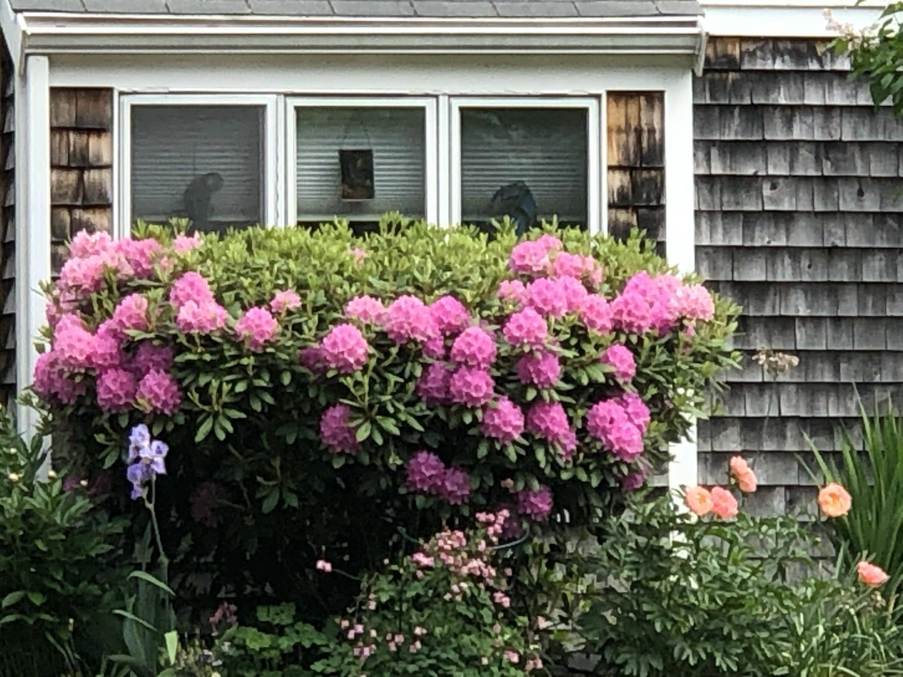 Scarborough, ME 04074,31 Stratton RD #31