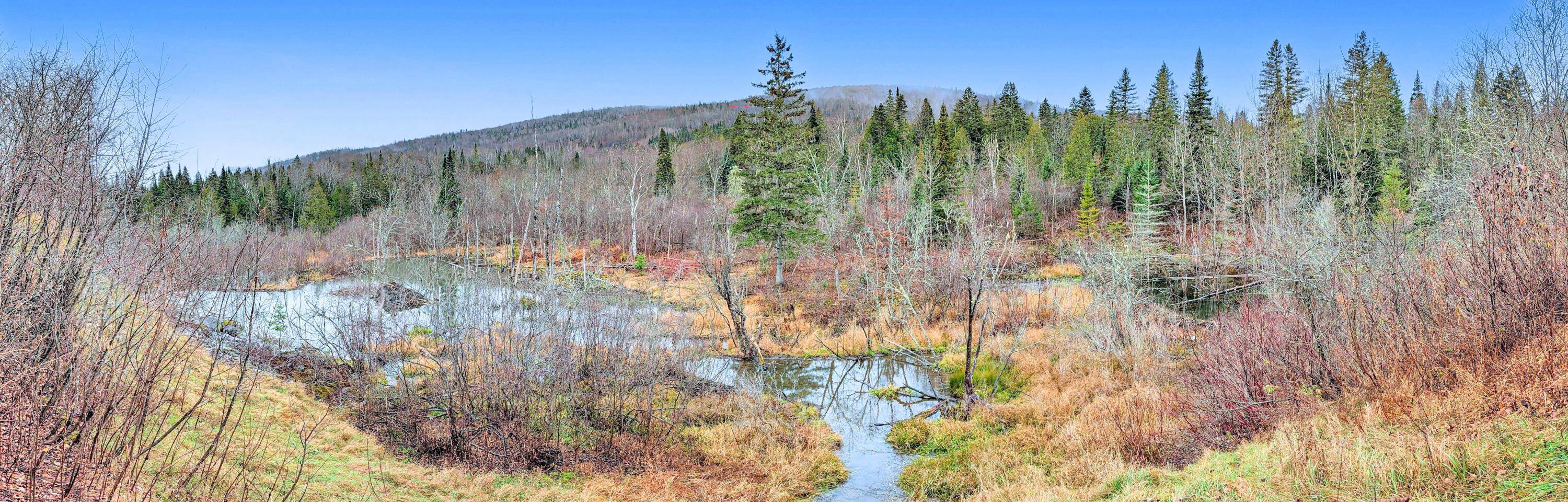 Fort Kent, ME 04743,500 Violette Settlement RD