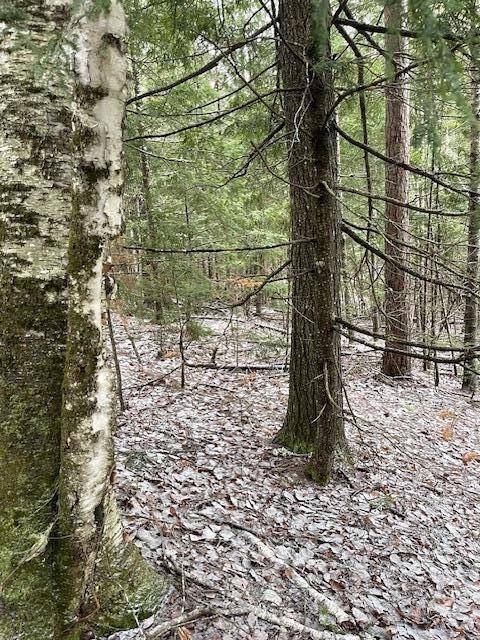 Greenbush, ME 04418,Map6Lot15 Spring Bridge RD
