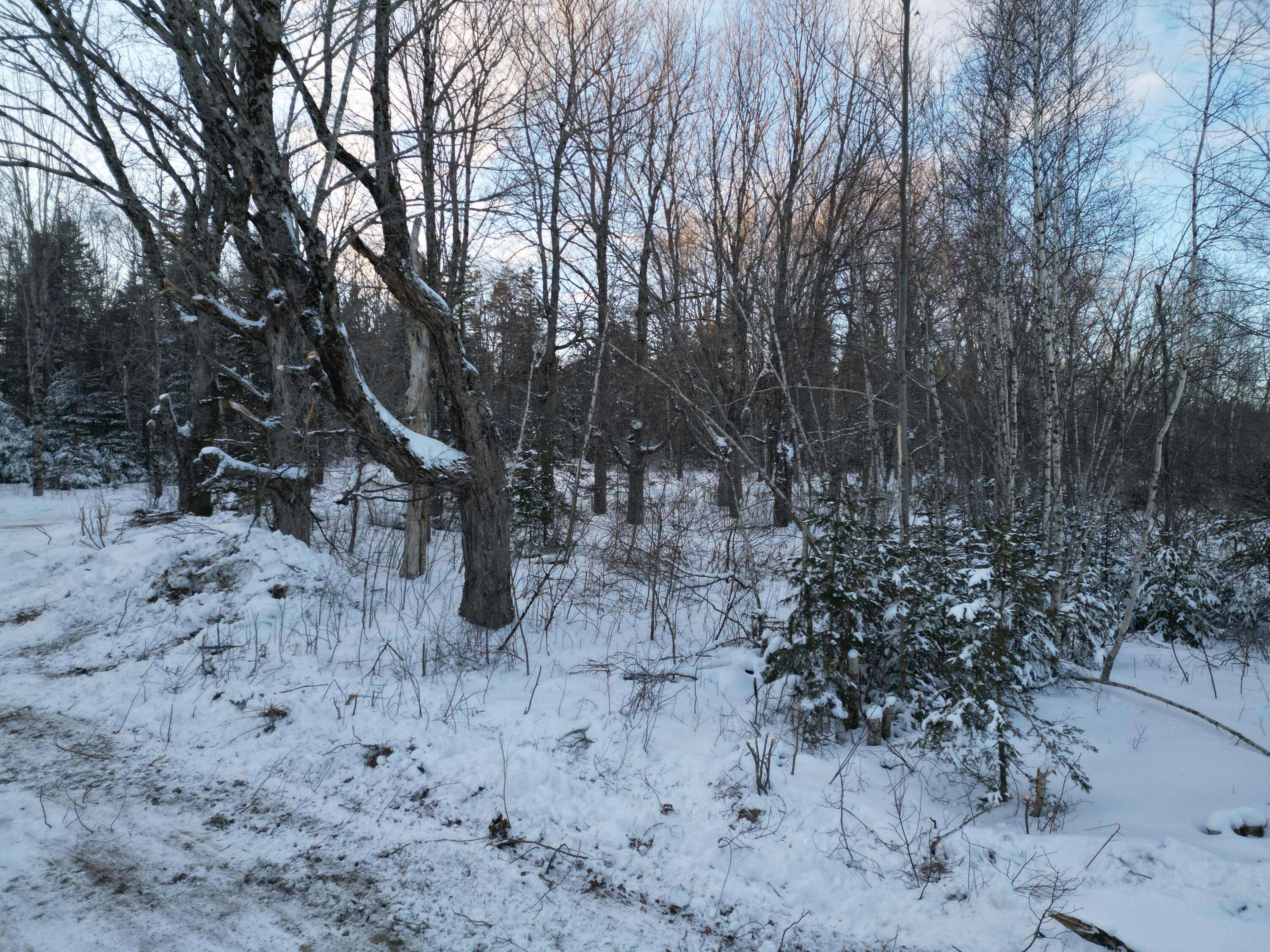 Carroll Plt, ME 04487,Lot 2S Danforth RD