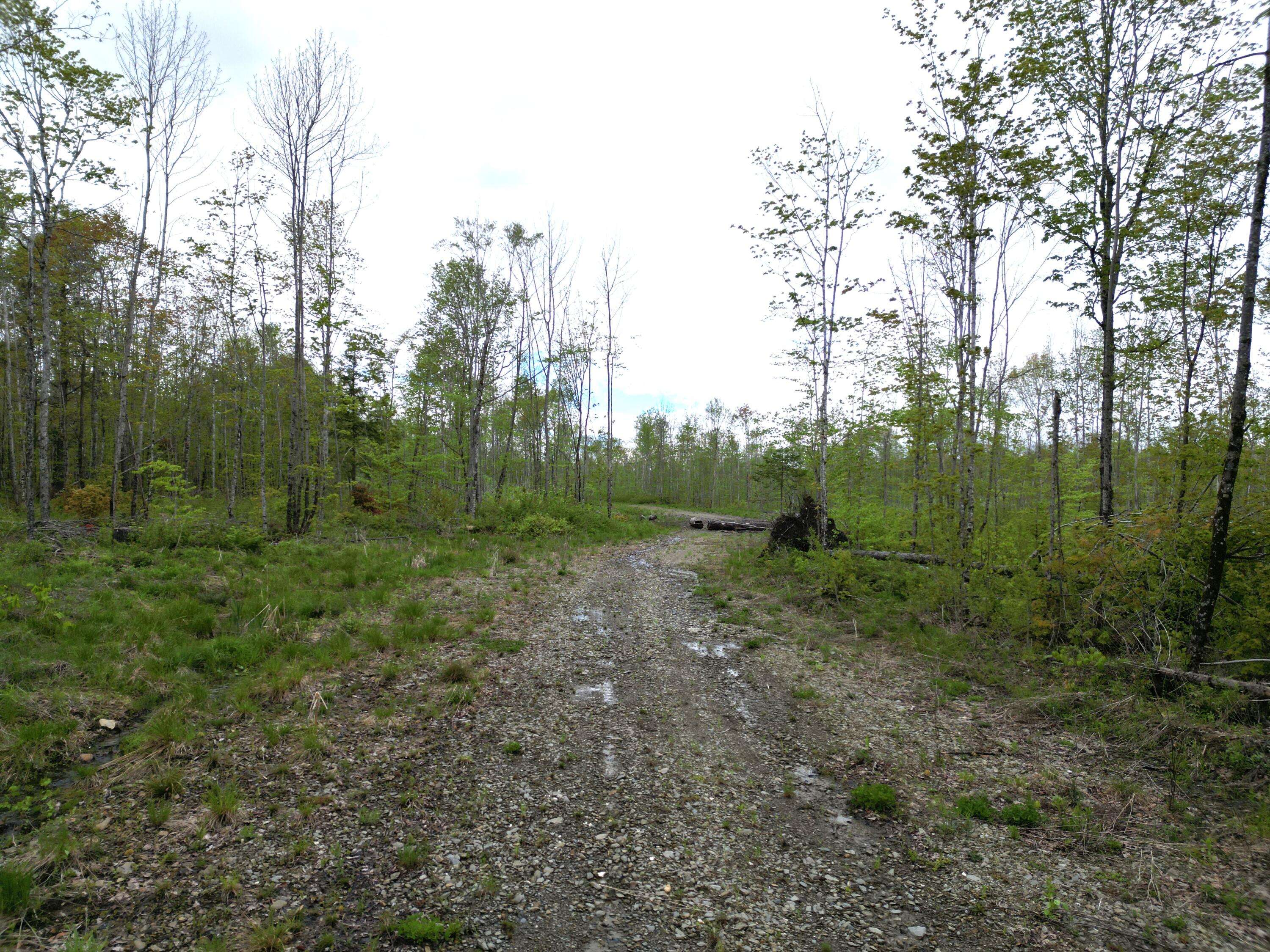Prentiss Twp T7 R3 Nbpp, ME 04487,Lot 28 Rosewood HVN
