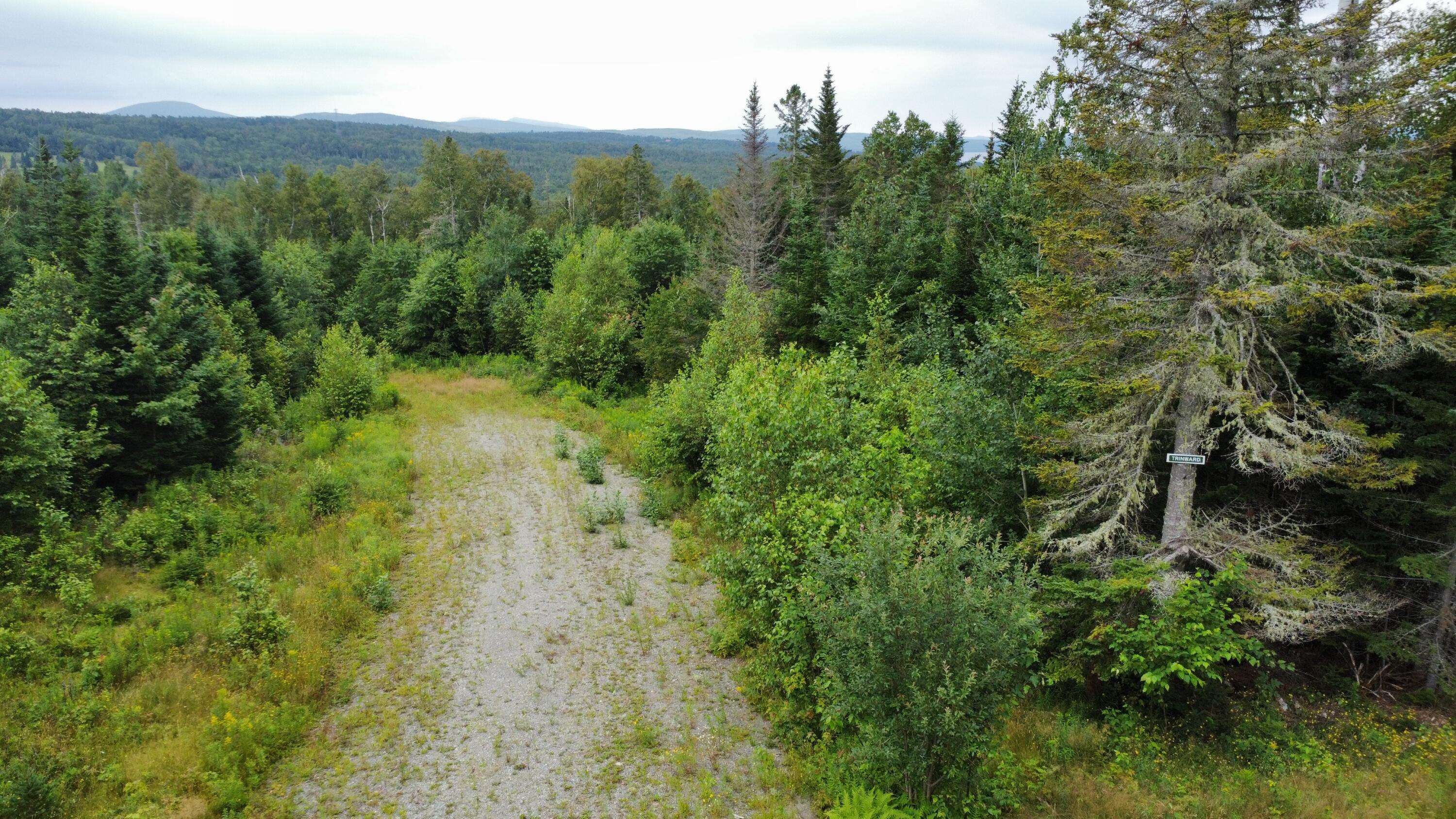 Dallas Plt, ME 04970,Map 4 Lot 31-26 Palmer WAY