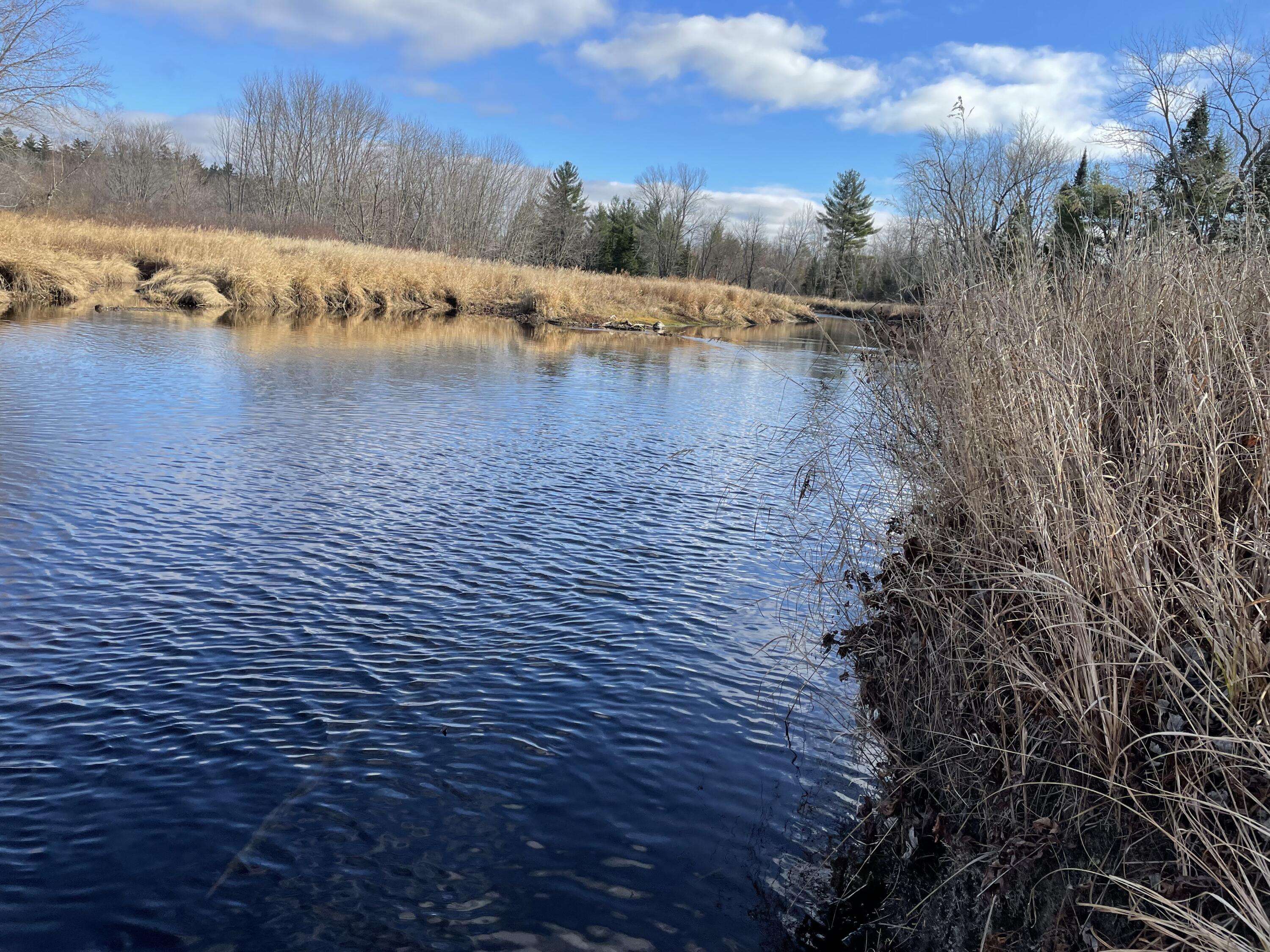 Grand Falls Twp, ME 04418,Lot 40 Lord Brook RD