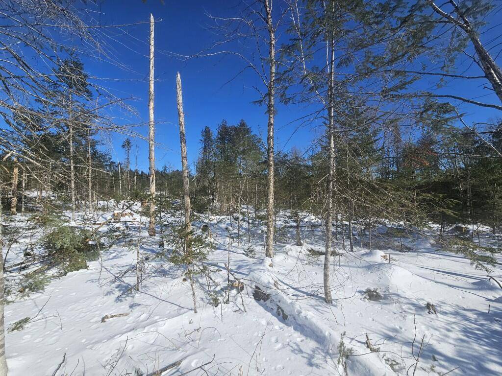 Lagrange, ME 04453,104 Town RD