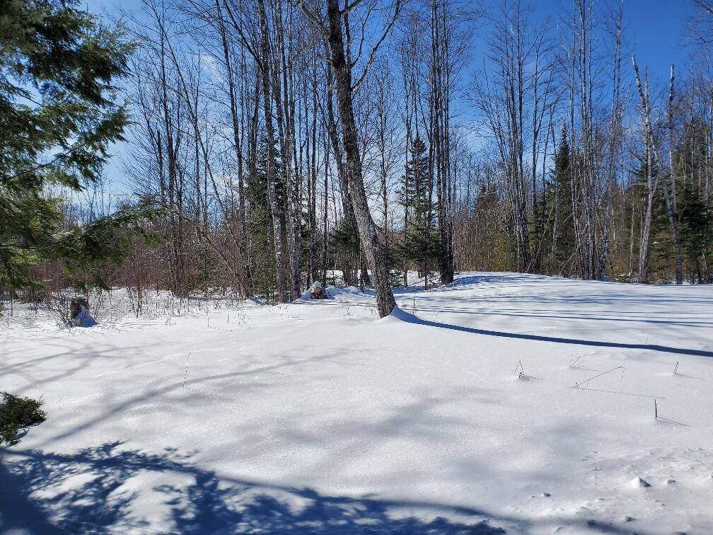 Amity, ME 04471,Lot#2 Cone RD