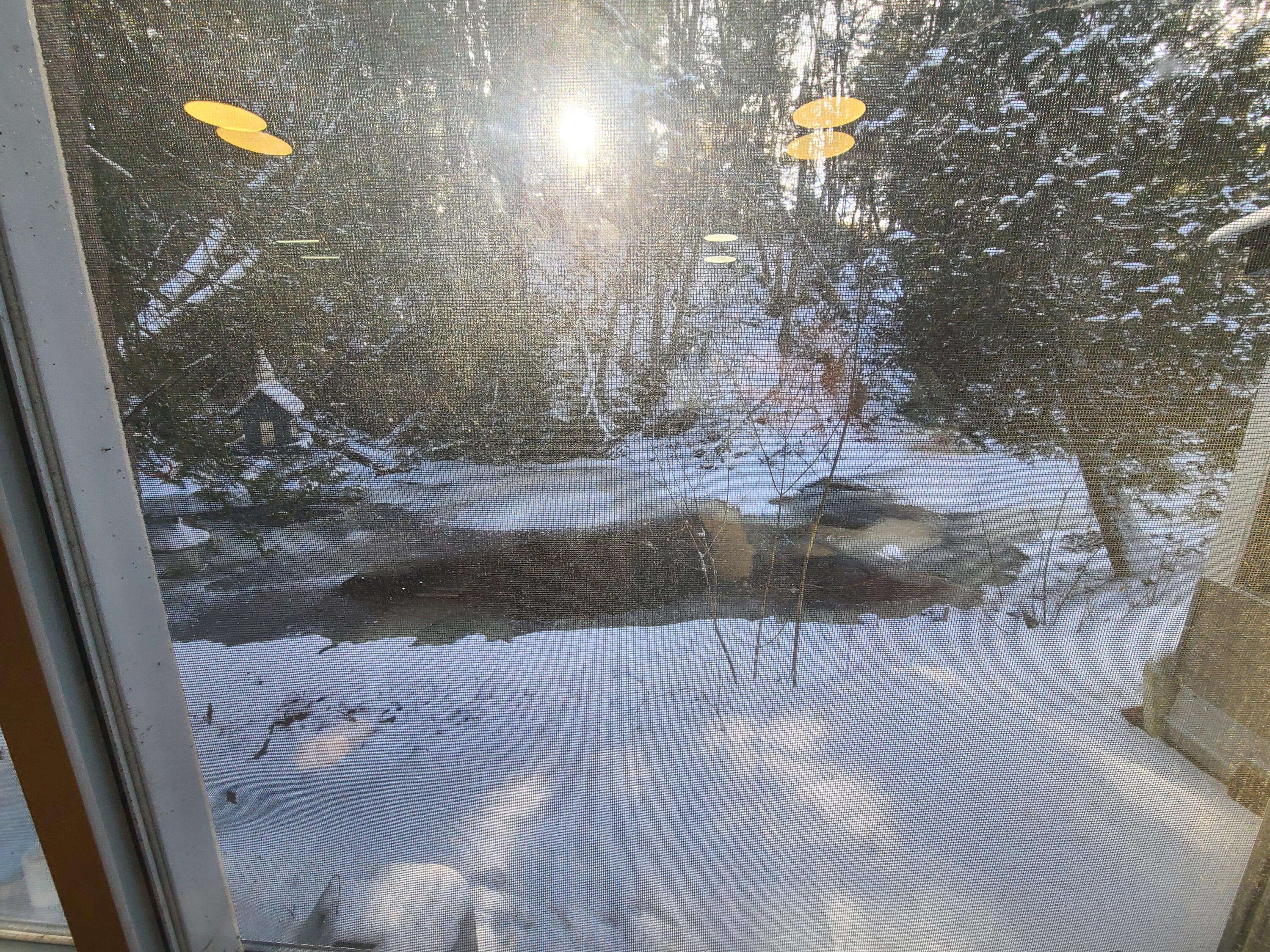 New Limerick, ME 04761,1555 County RD