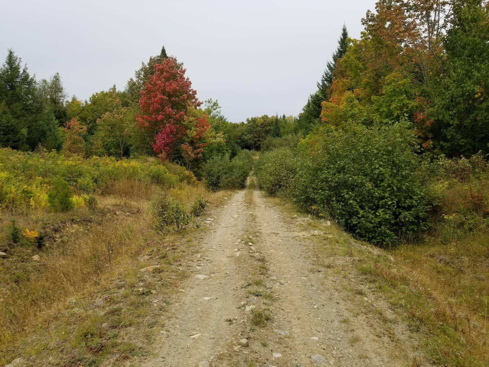 Linneus, ME 04730,0 Beaver LN