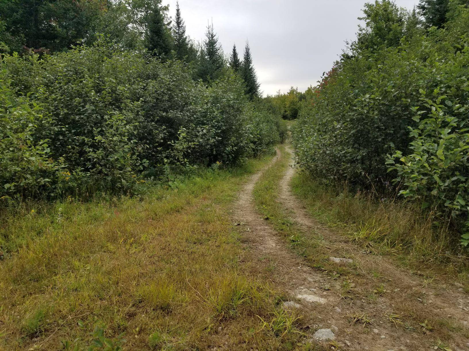 Linneus, ME 04730,0 Beaver LN