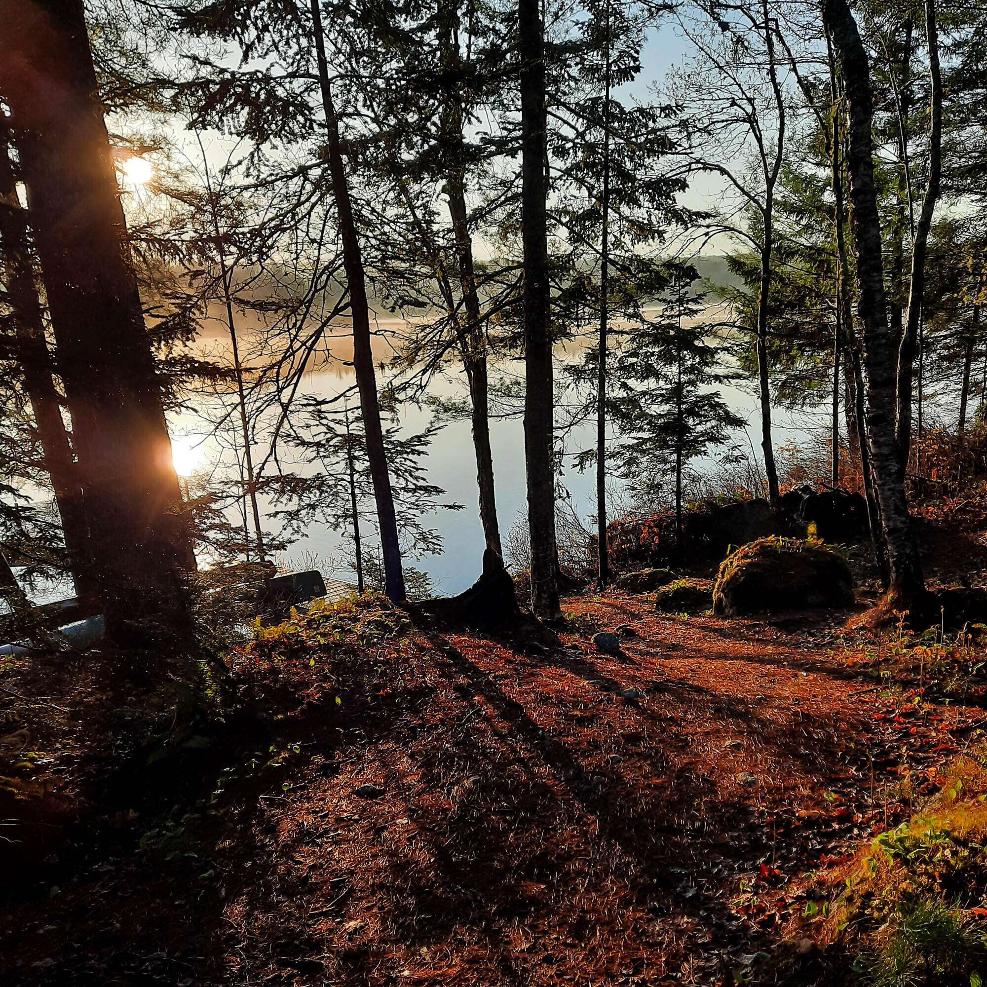 Orland, ME 04472,51 Short Point WAY