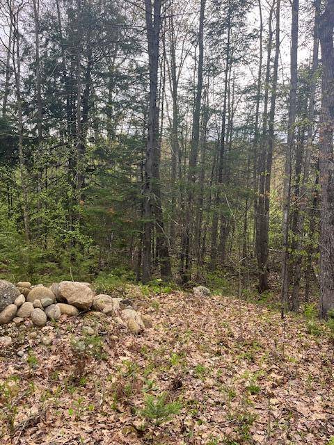 Bethel, ME 04217,Lot 22 Taylor Woods RD