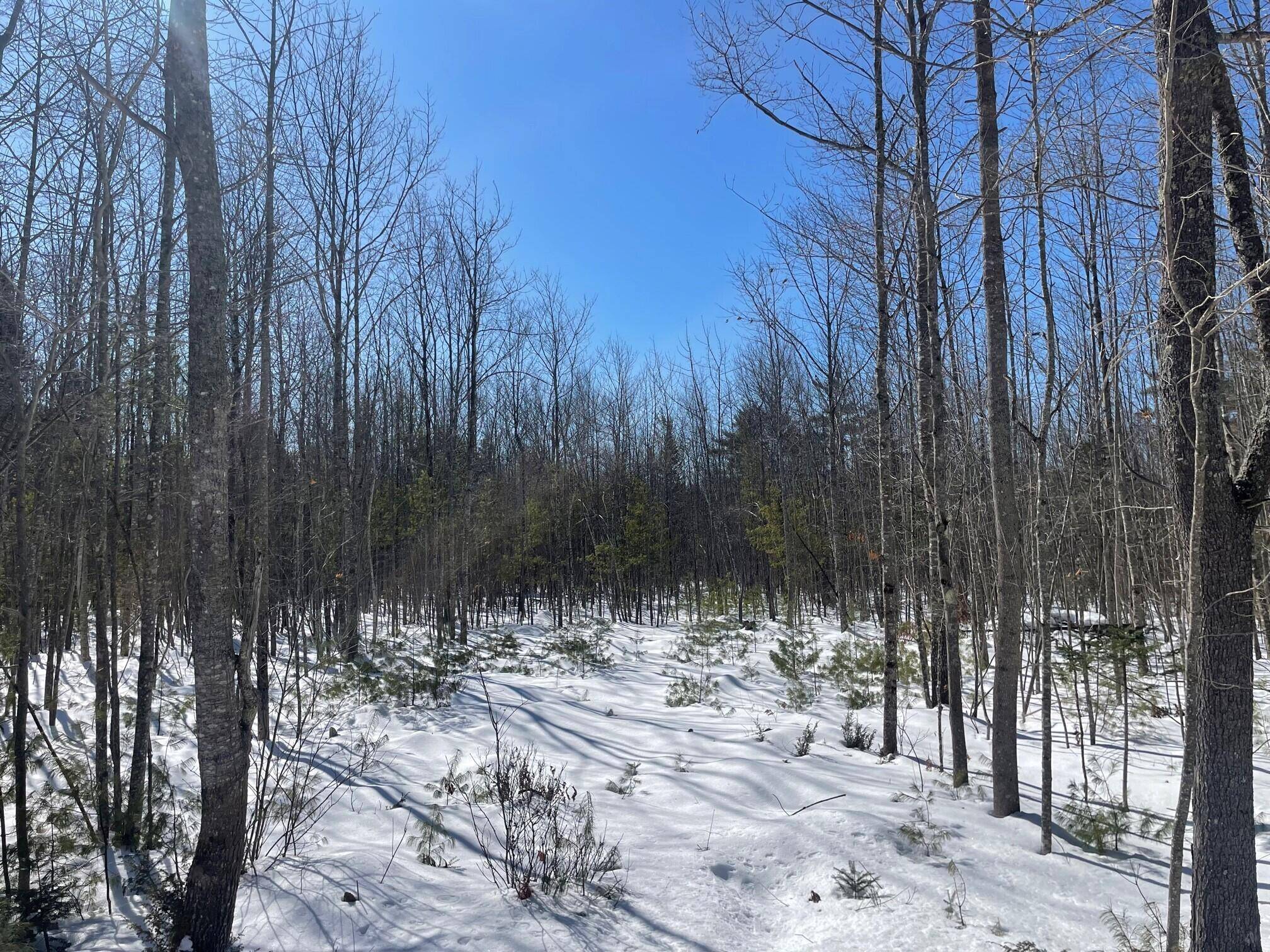 Harrison, ME 04040,0 Maple Ridge RD