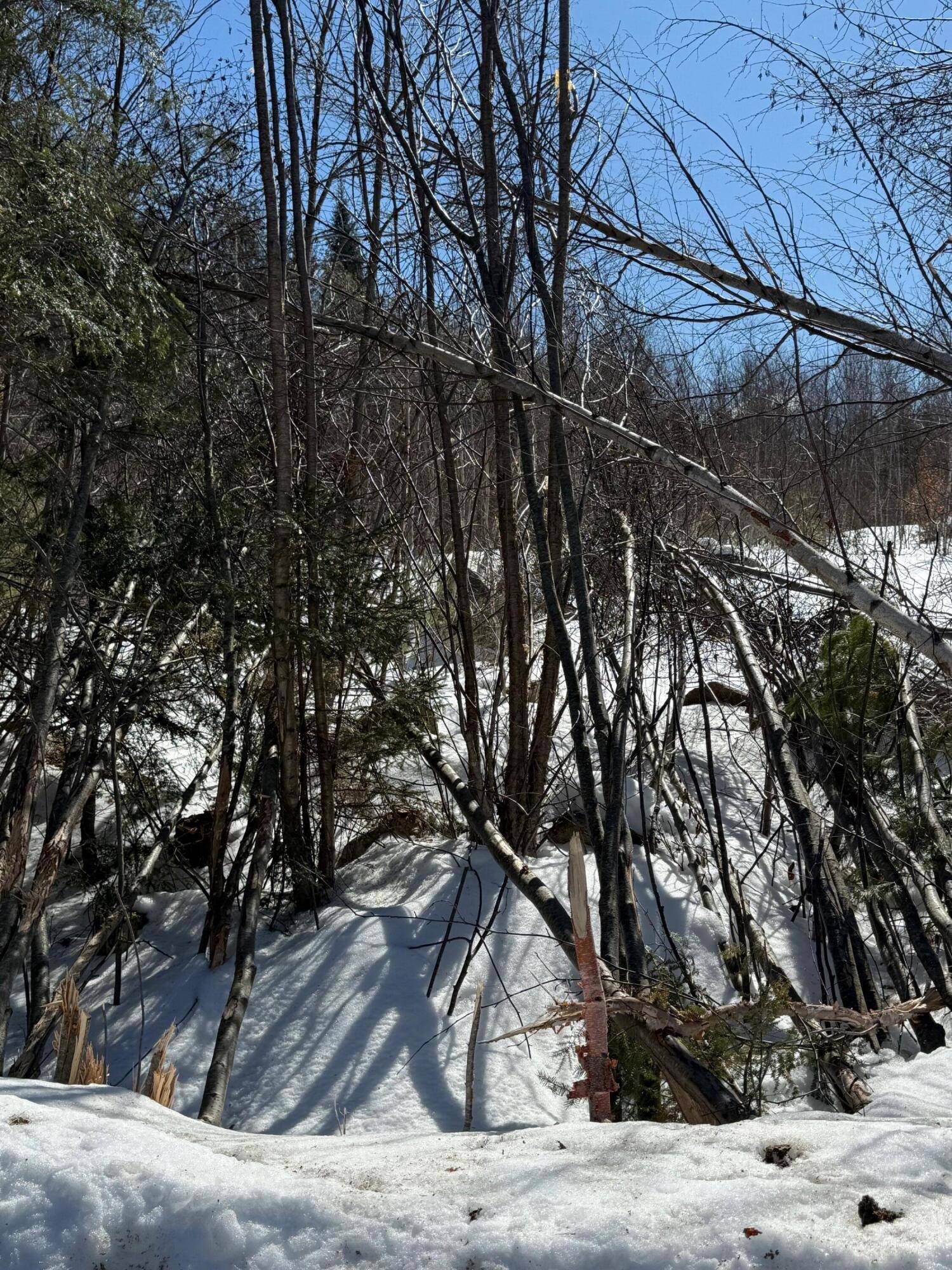 Waterford, ME 04088,0 Hawk Meadow RD