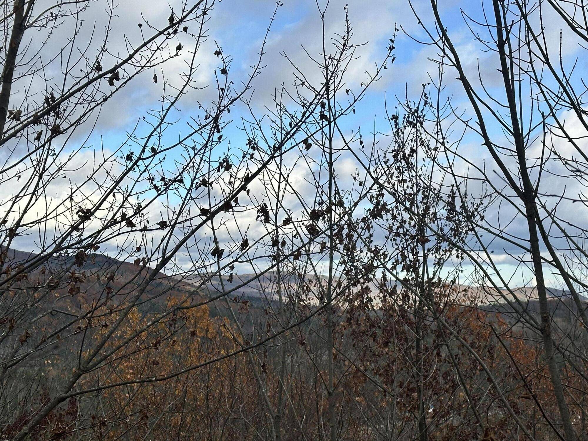 Woodstock, ME 04219,Lot #9 Oak Hill DR