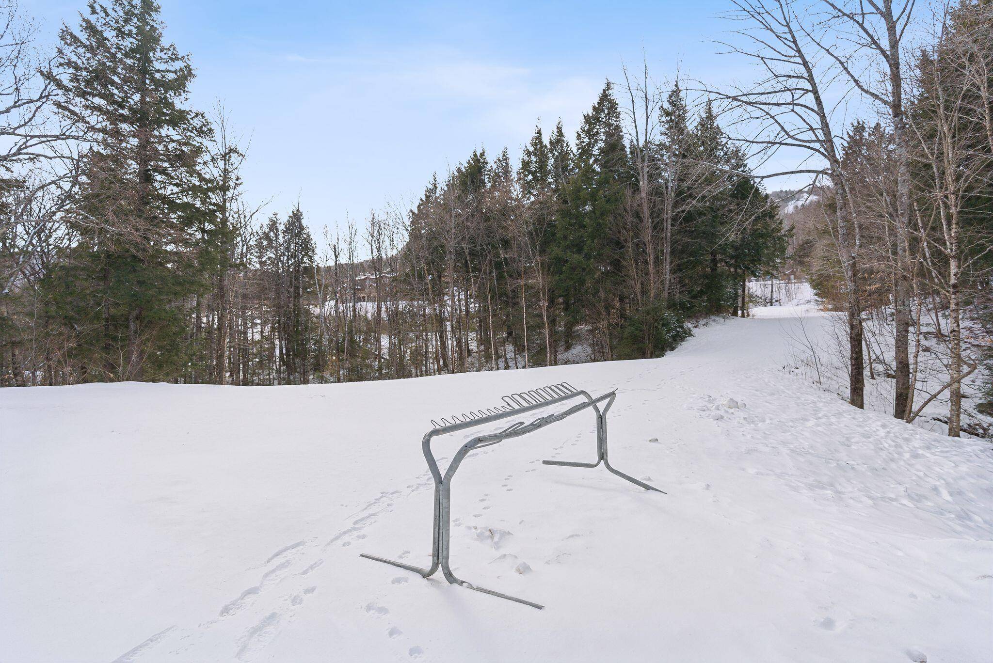 Newry, ME 04261,10 Brookside DR #1B301