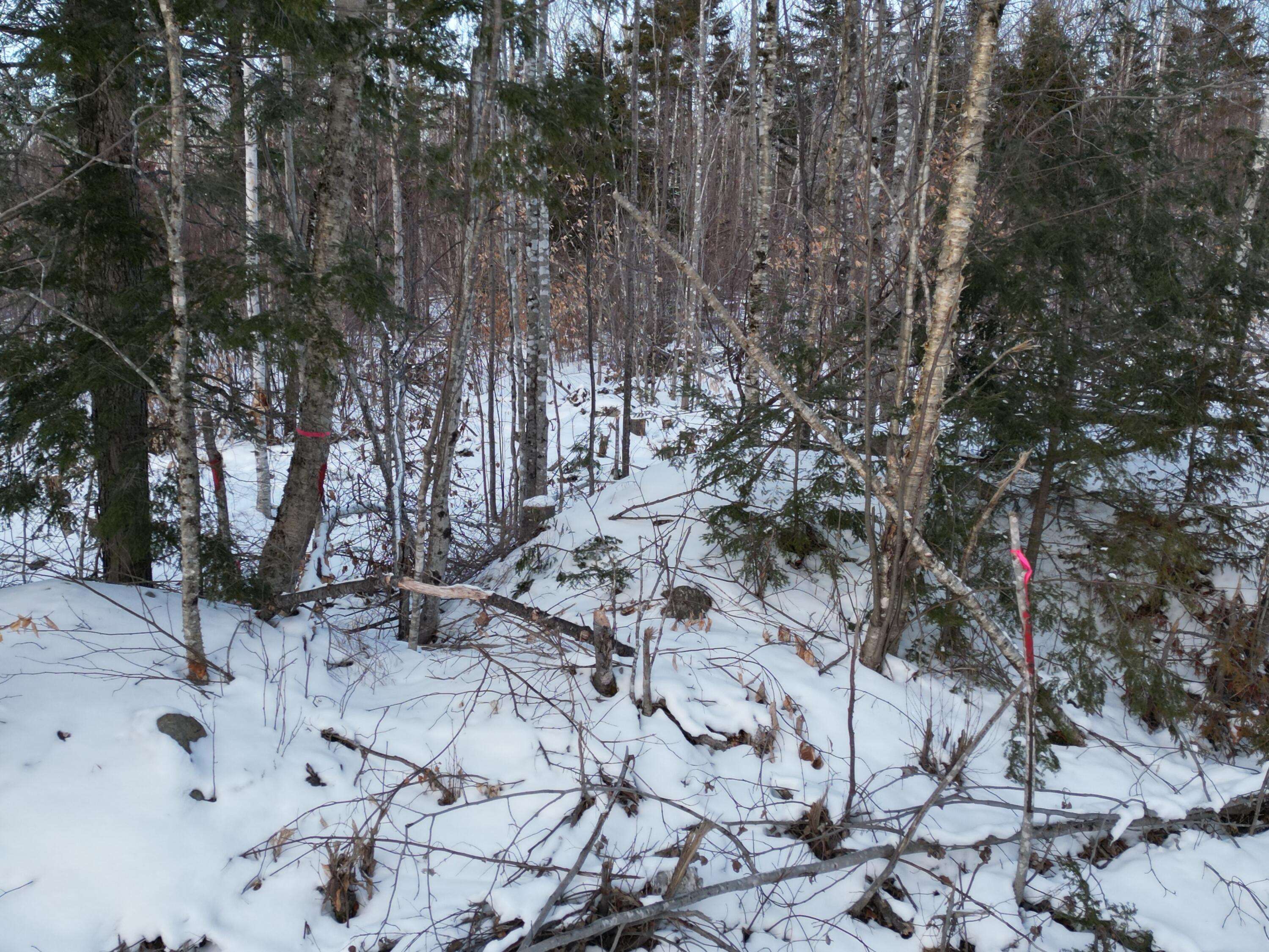 Springfield, ME 04487,Lot 3 Moores RD