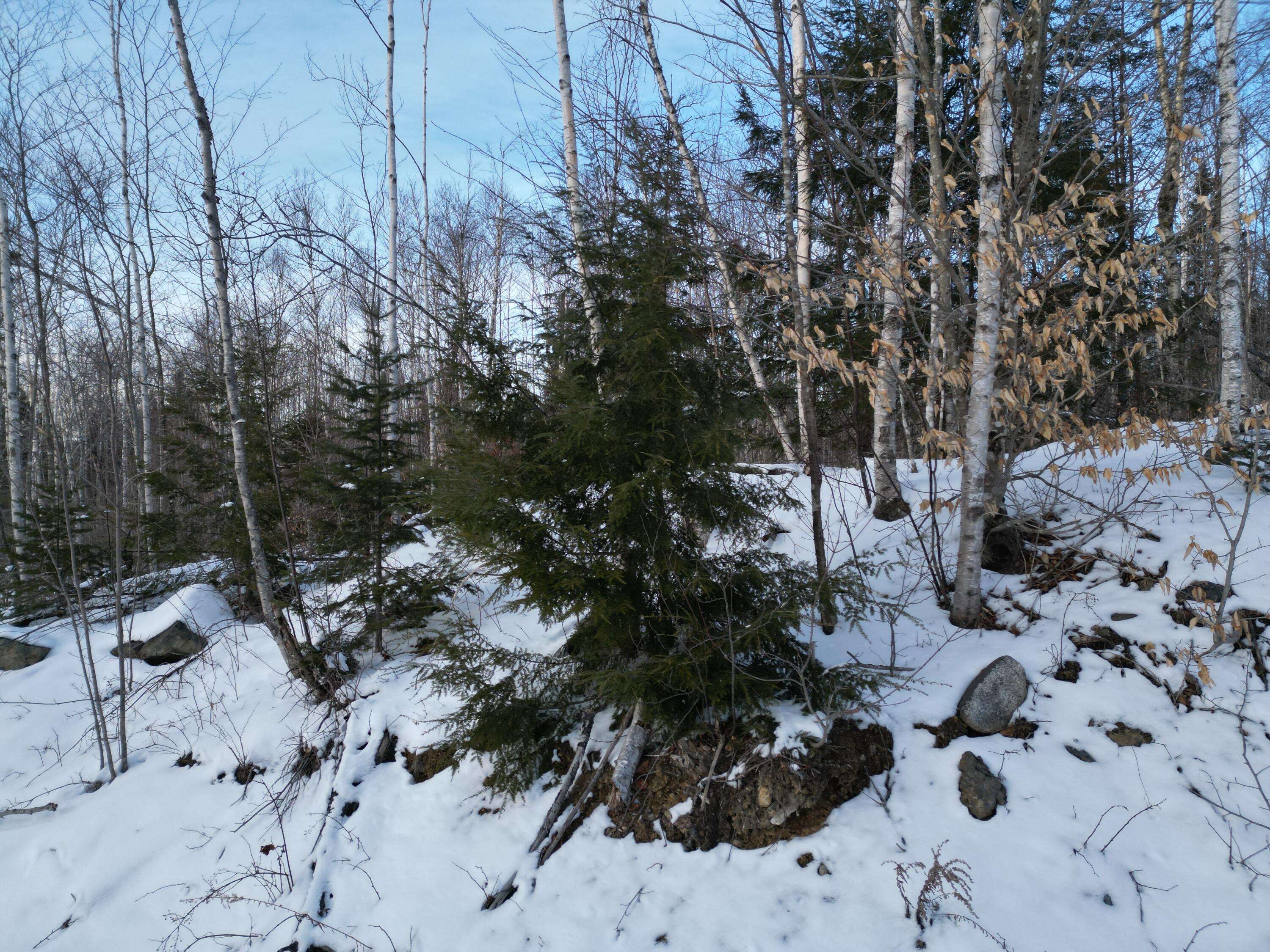 Springfield, ME 04487,Lot 3 Moores RD