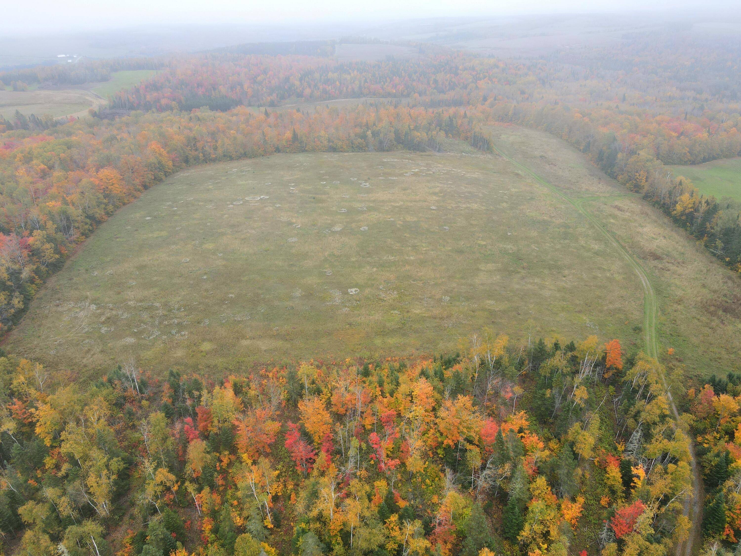 New Canada, ME 04743,Lot 38 Coulombe RD