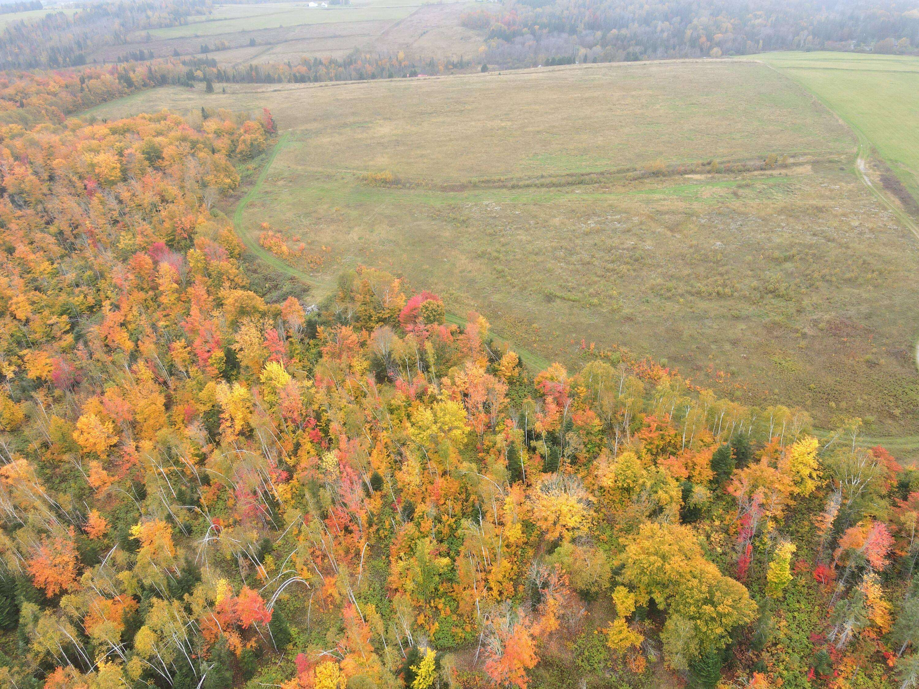 New Canada, ME 04743,Lot 38 Coulombe RD