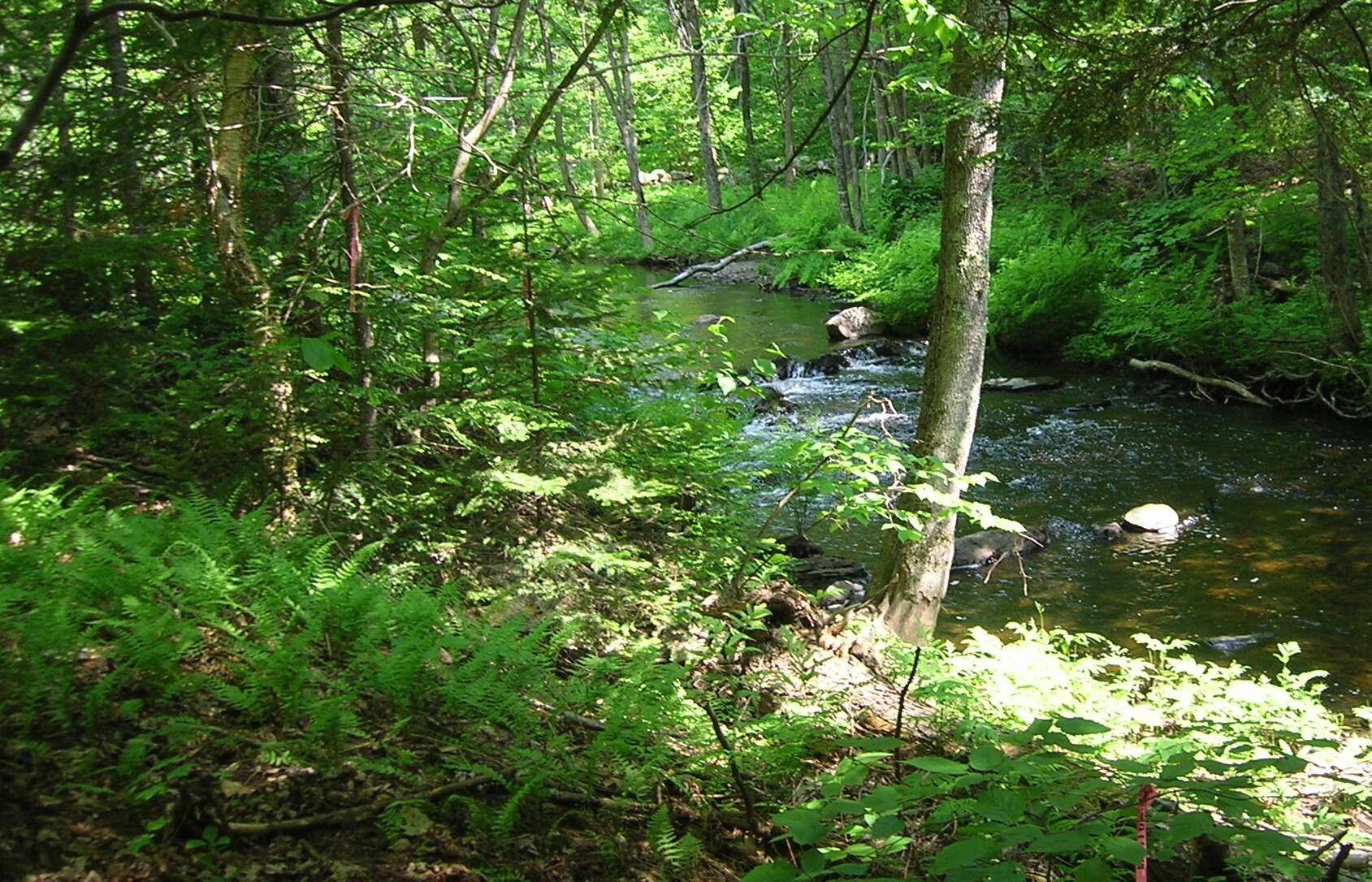 China, ME 04358,Lot #1 Sheepscot Way