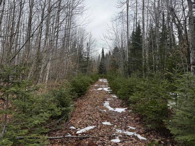 Stetson, ME 04488,M9 L19-A-1 Off Deer Run RD