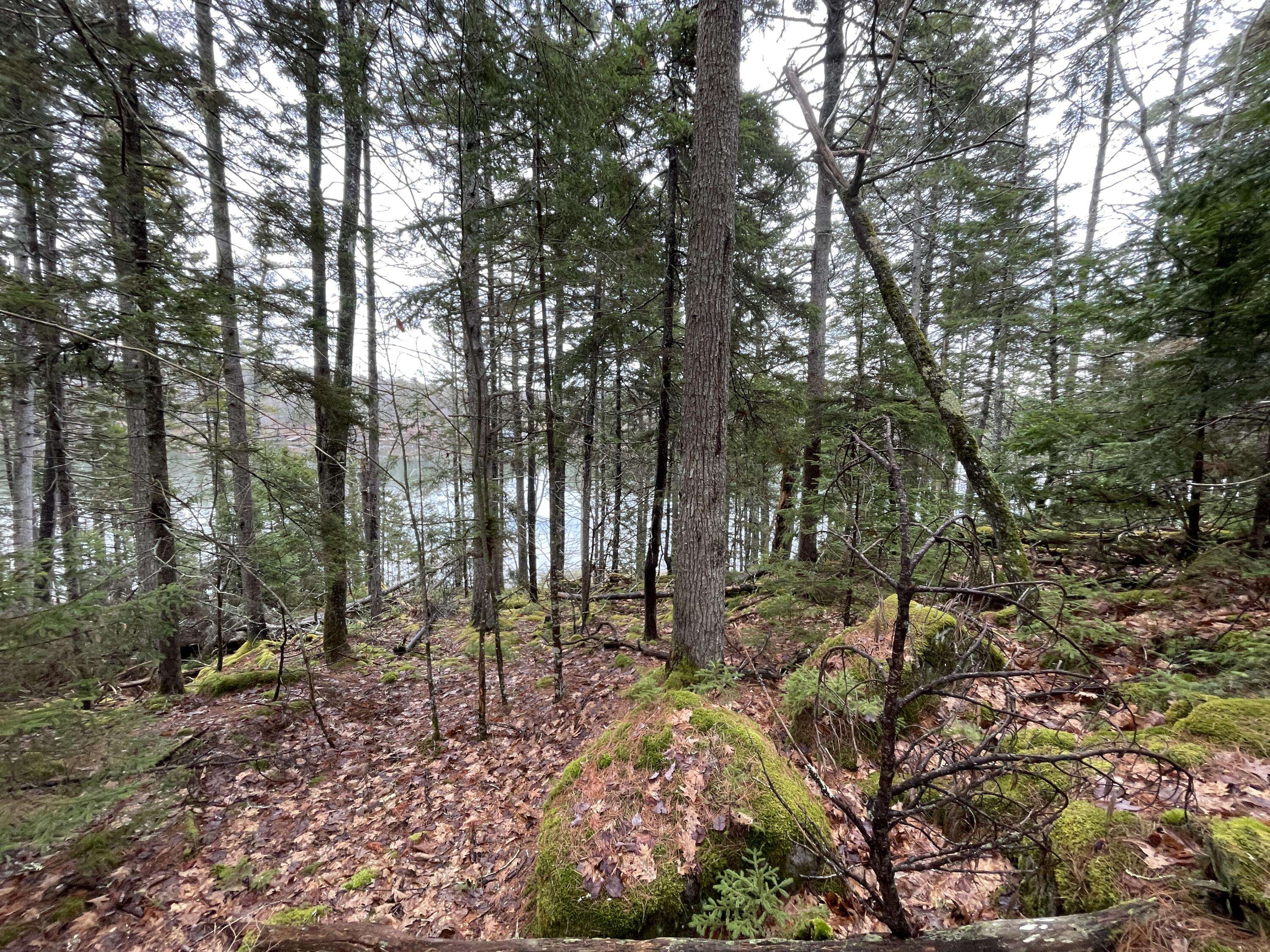 Westport Island, ME 04578,16 Otter LN
