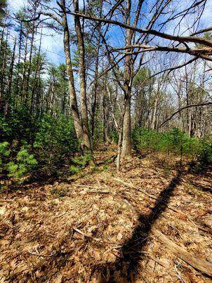 Wells, ME 04090,Lot #11B Sanford RD