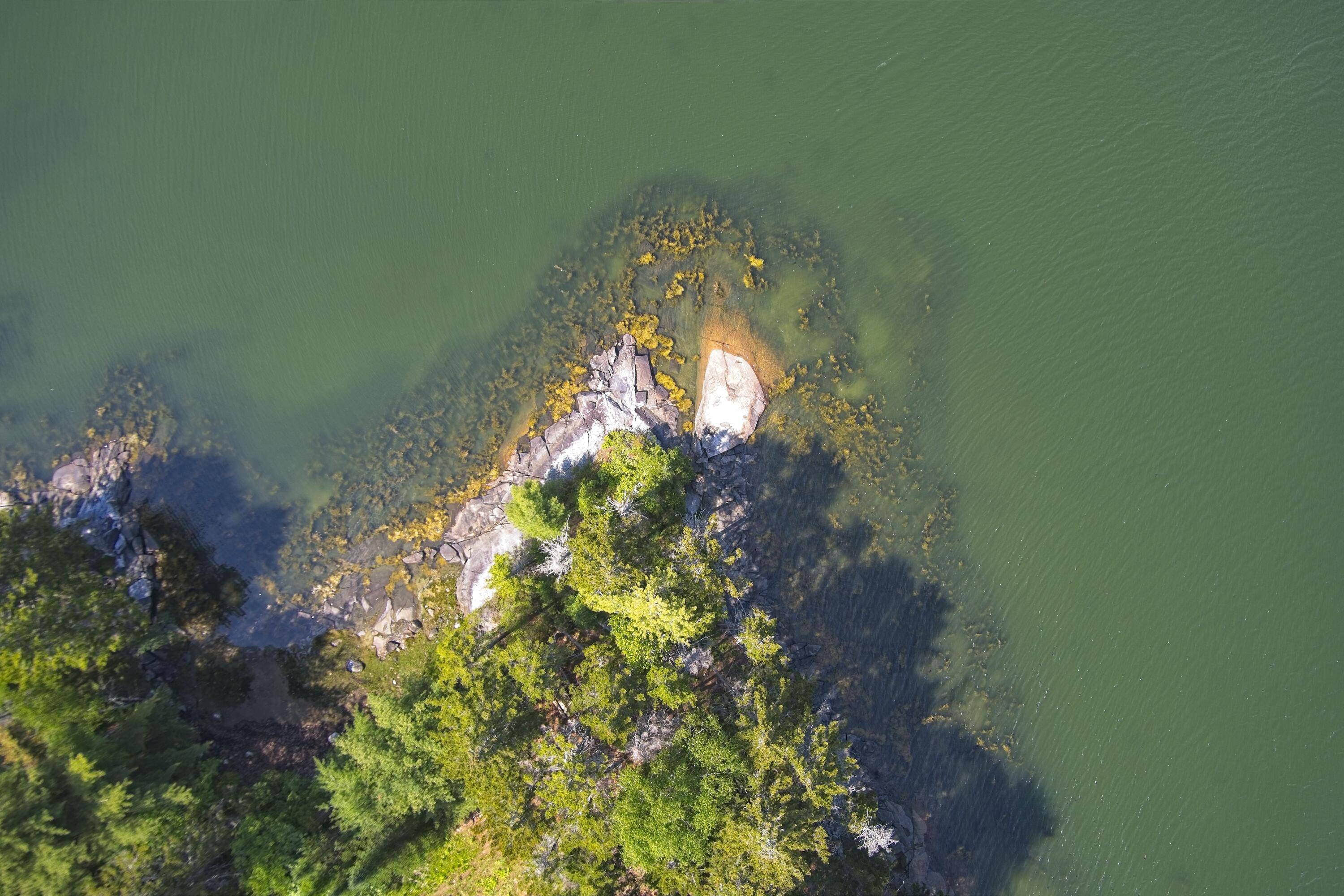Saint George, ME 04860,Lot73 M217 Kallio Cove RD