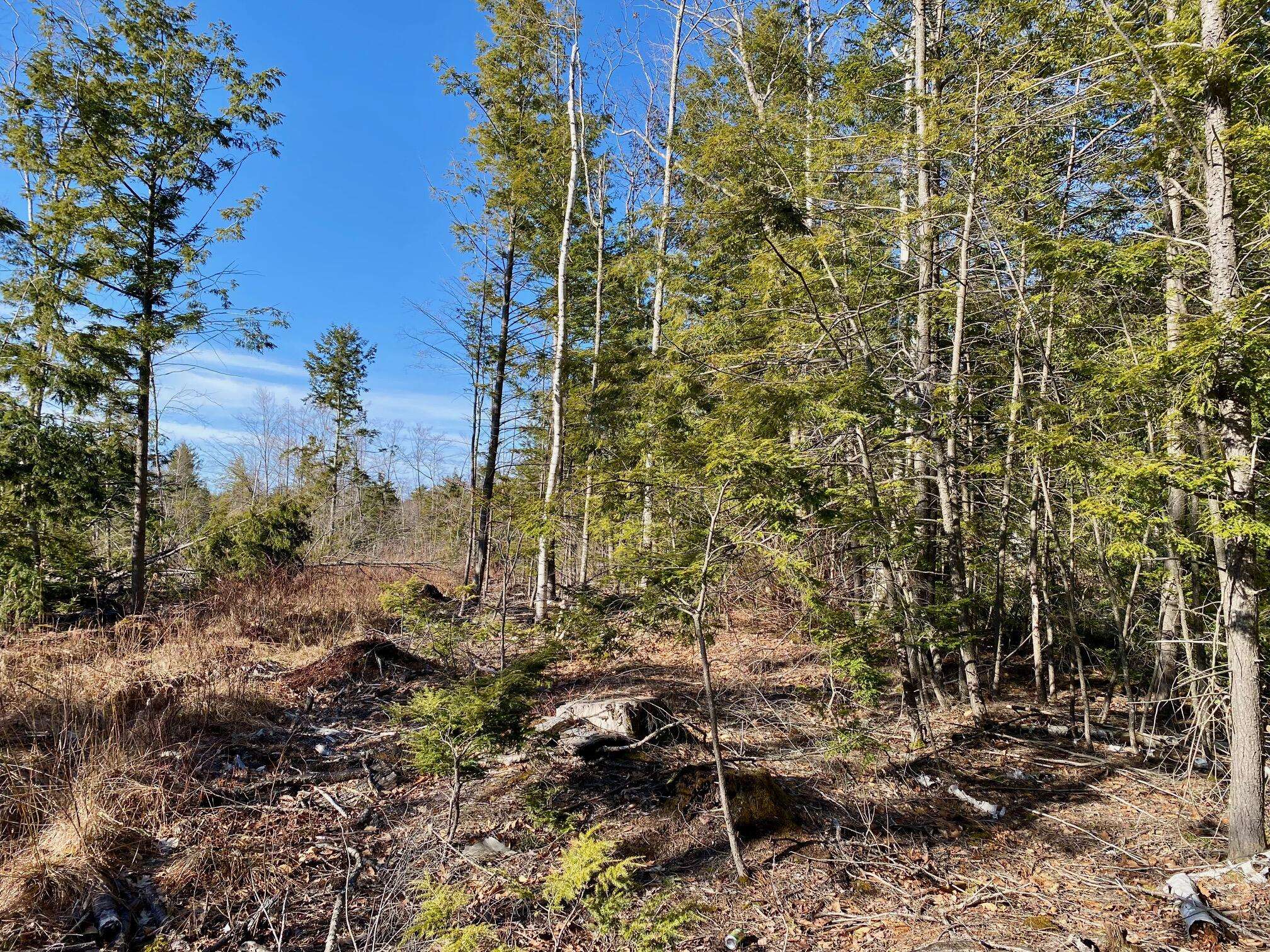 Gorham, ME 04038,Lot 2 Great Falls RD