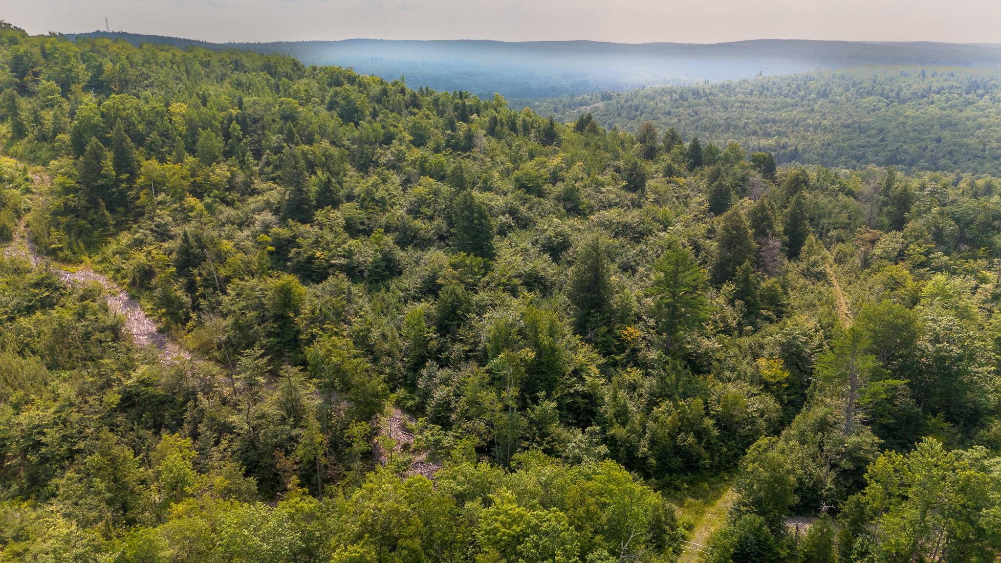 Sebec, ME 04481,Lot8 Bear Brook Subdivision