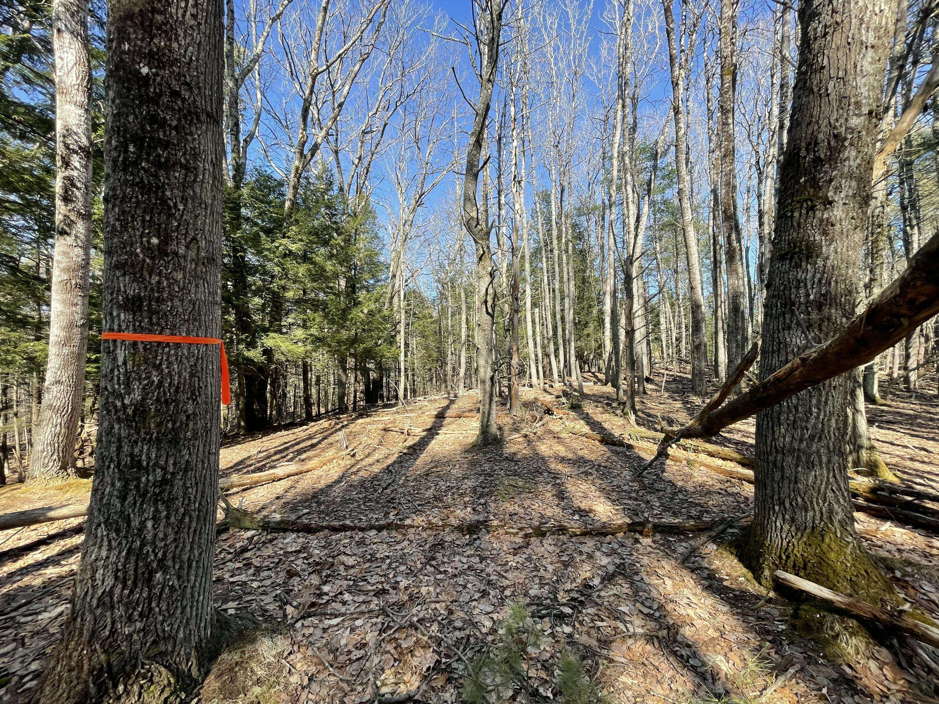 Windham, ME 04062,163A Highland Cliff RD