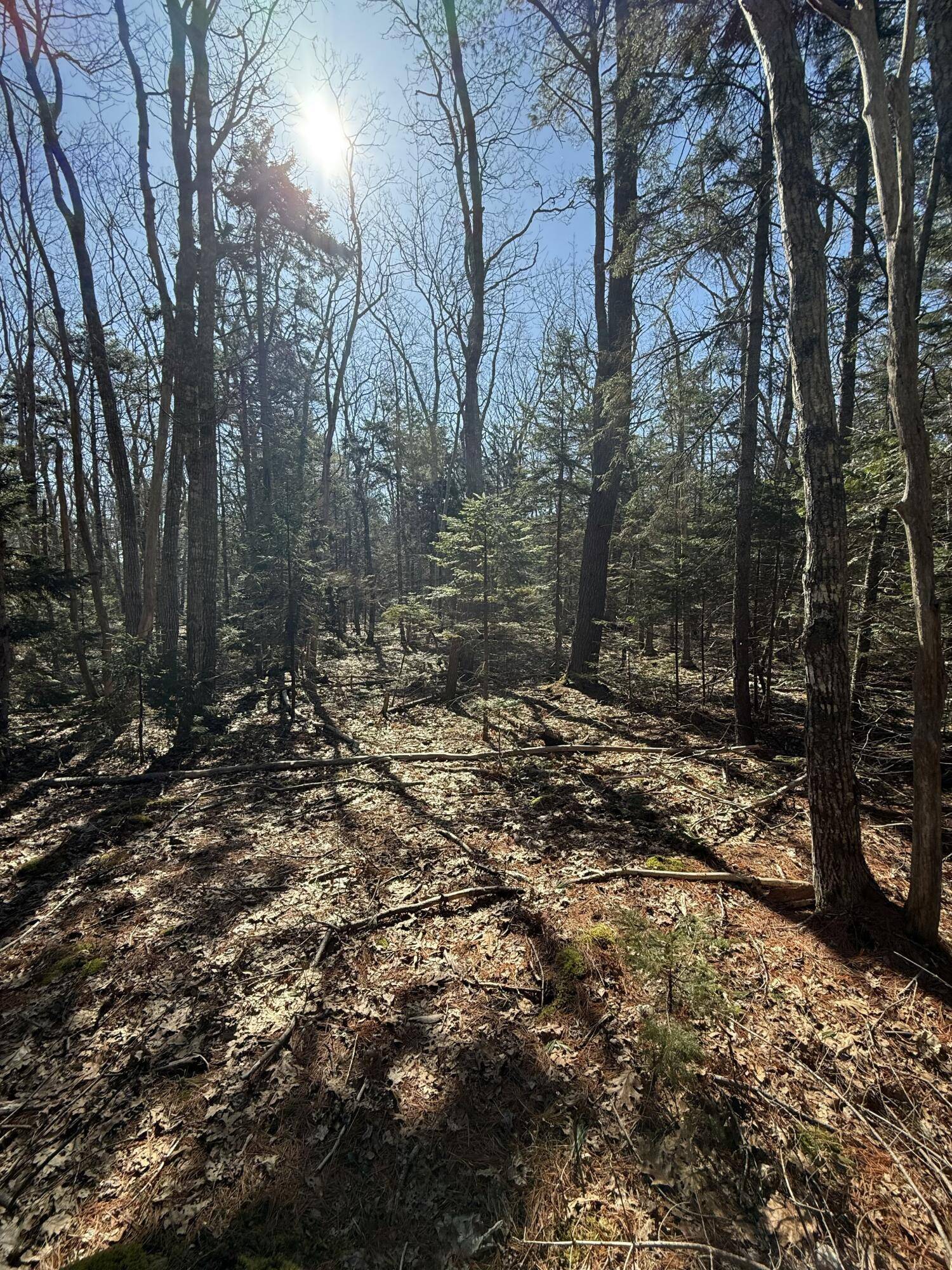 Bristol, ME 04539,40 Eastwood CT