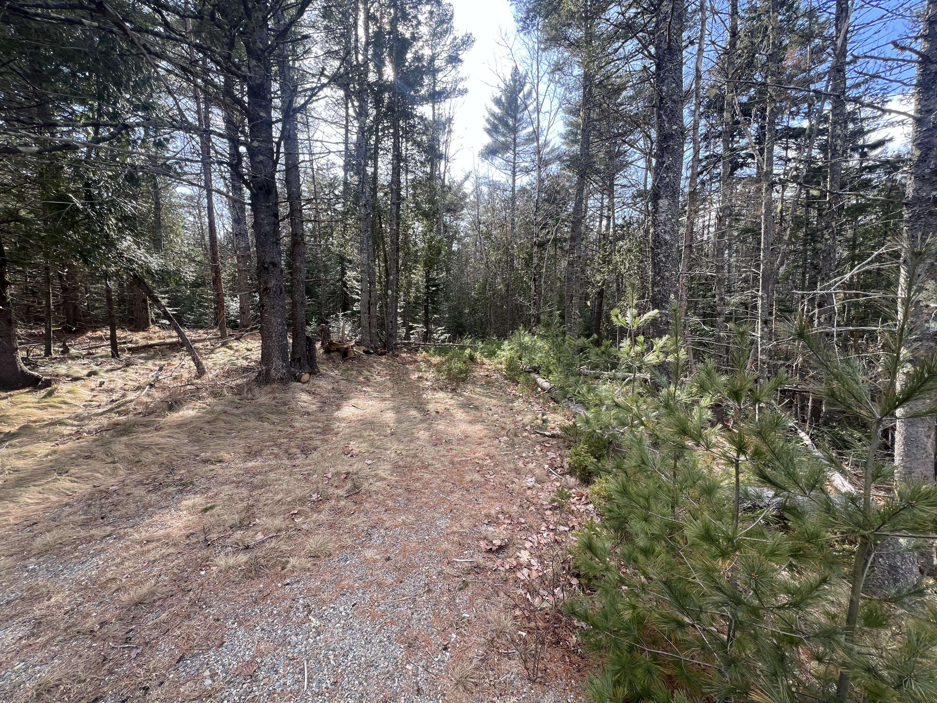 Mount Desert, ME 04660,Map10-193 Main Street #4