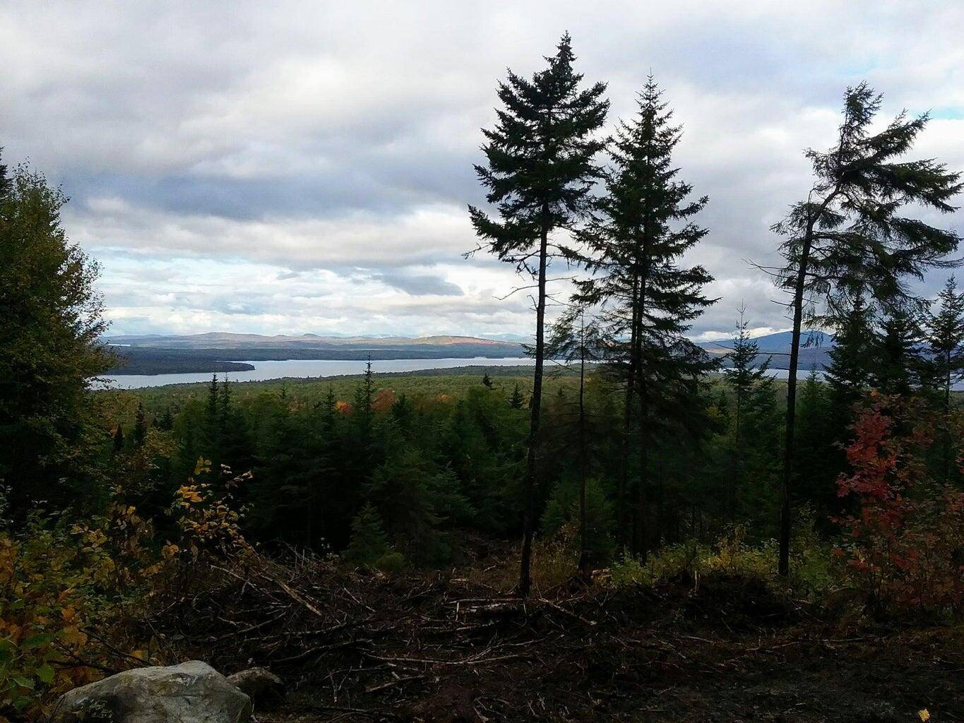Rangeley Plt, ME 04970,Lot 24-1 Rte 17