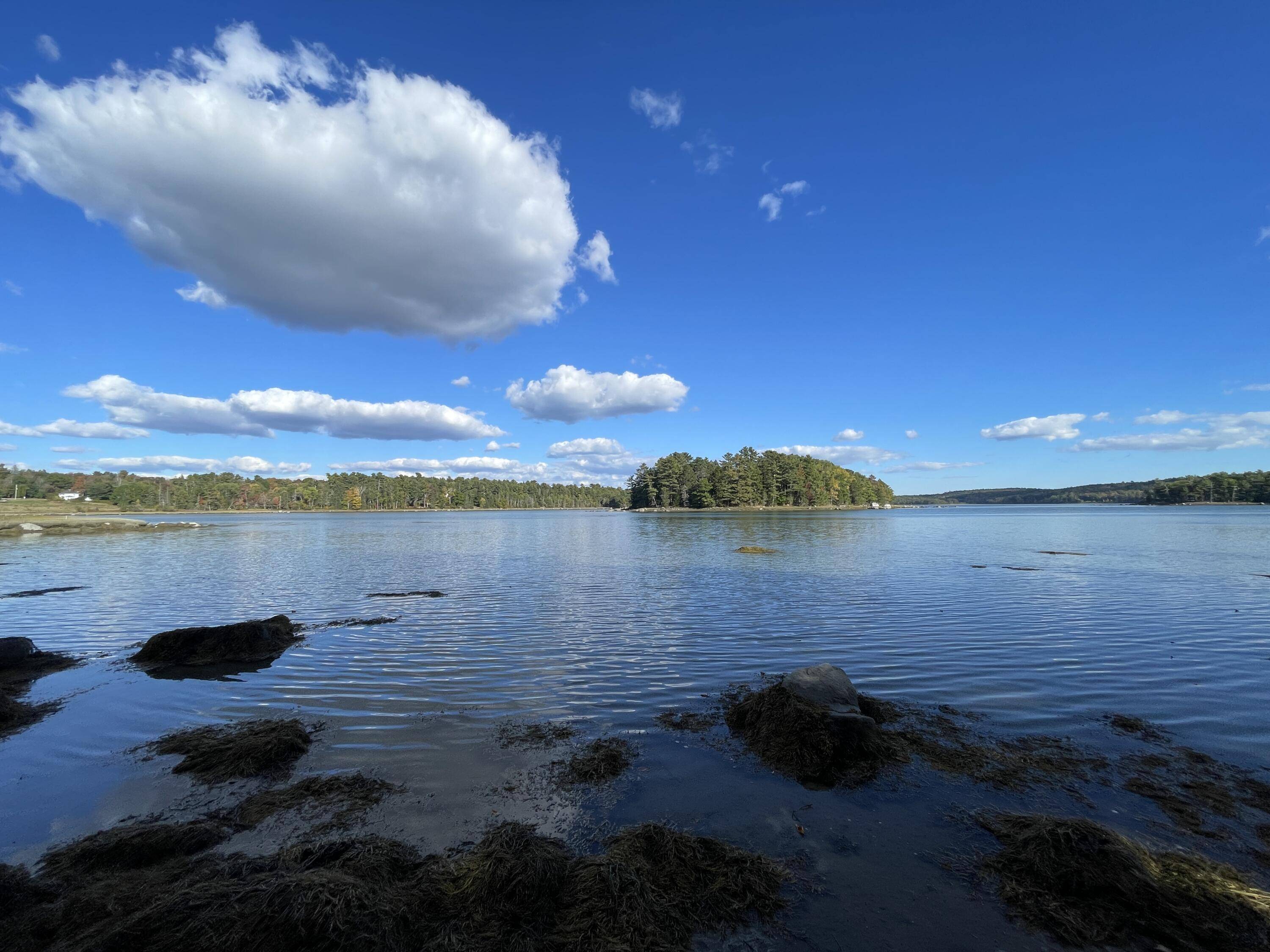 Franklin, ME 04634,42 Dwelly Point RD