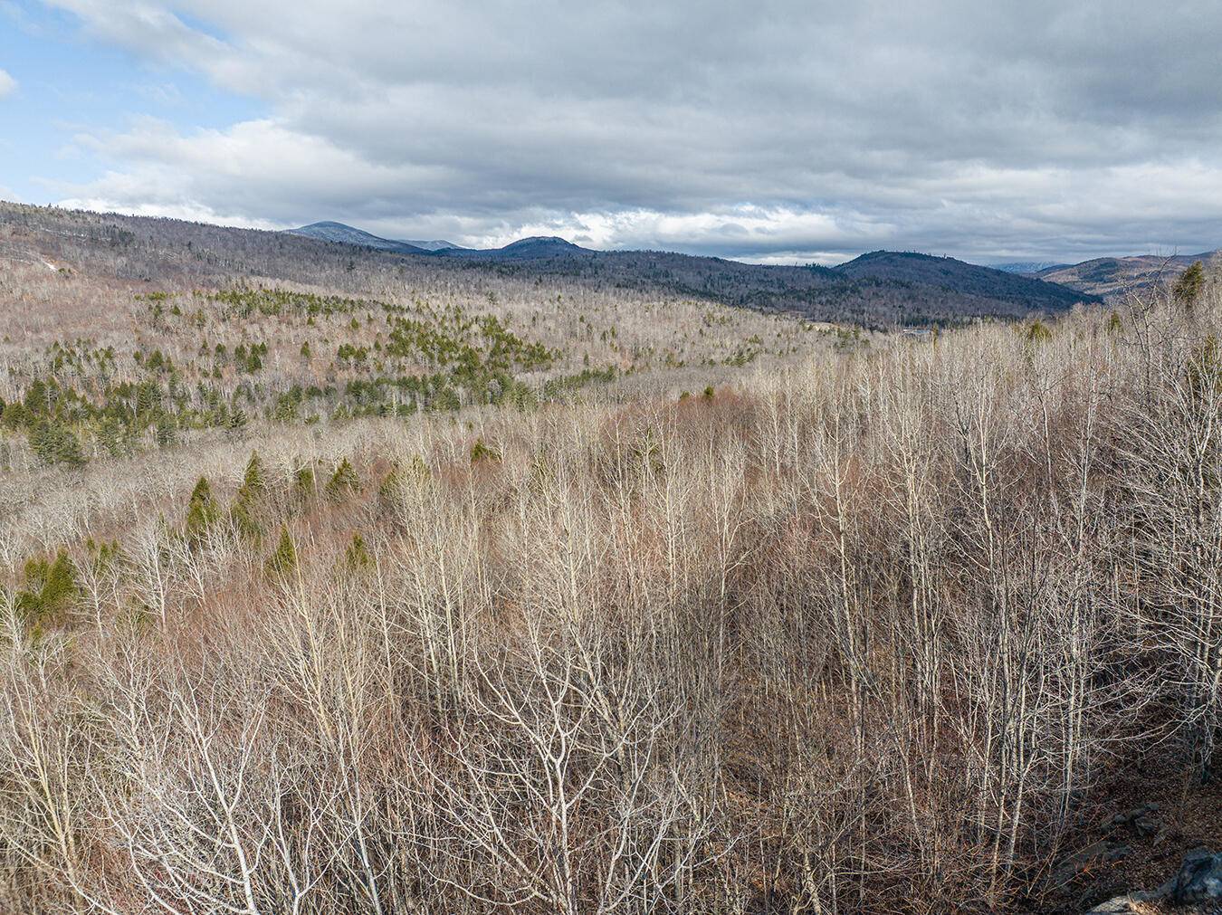 Kingfield, ME 04947,Lot 2-1 Lower Vose RD
