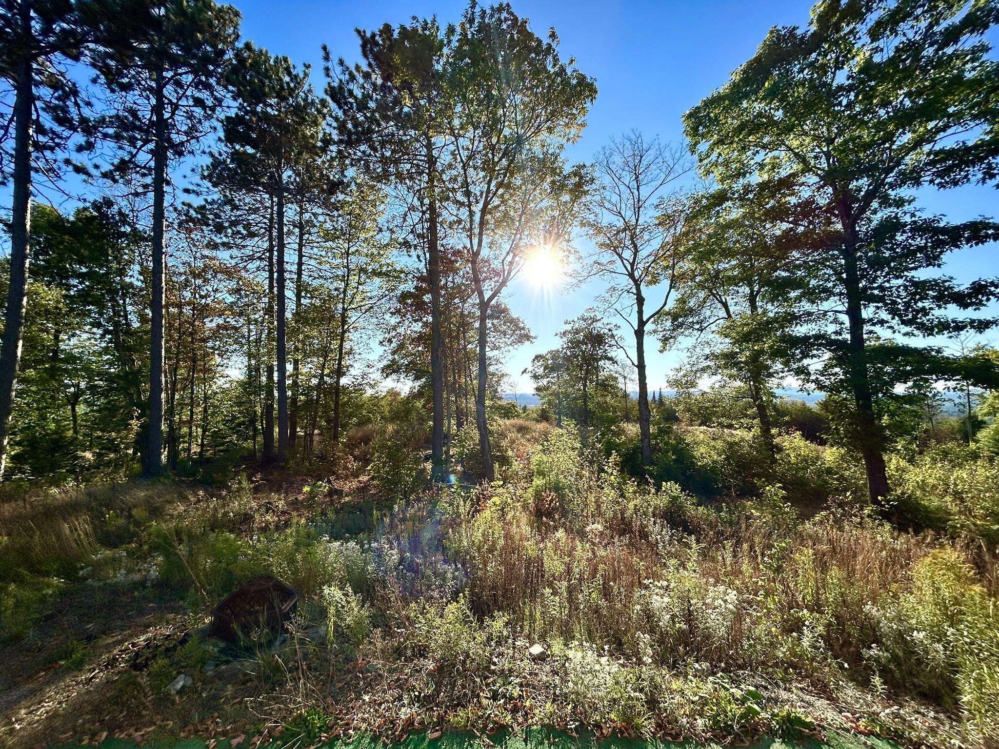 Sangerville, ME 04479,Map 11 Lot 8 Gray RD