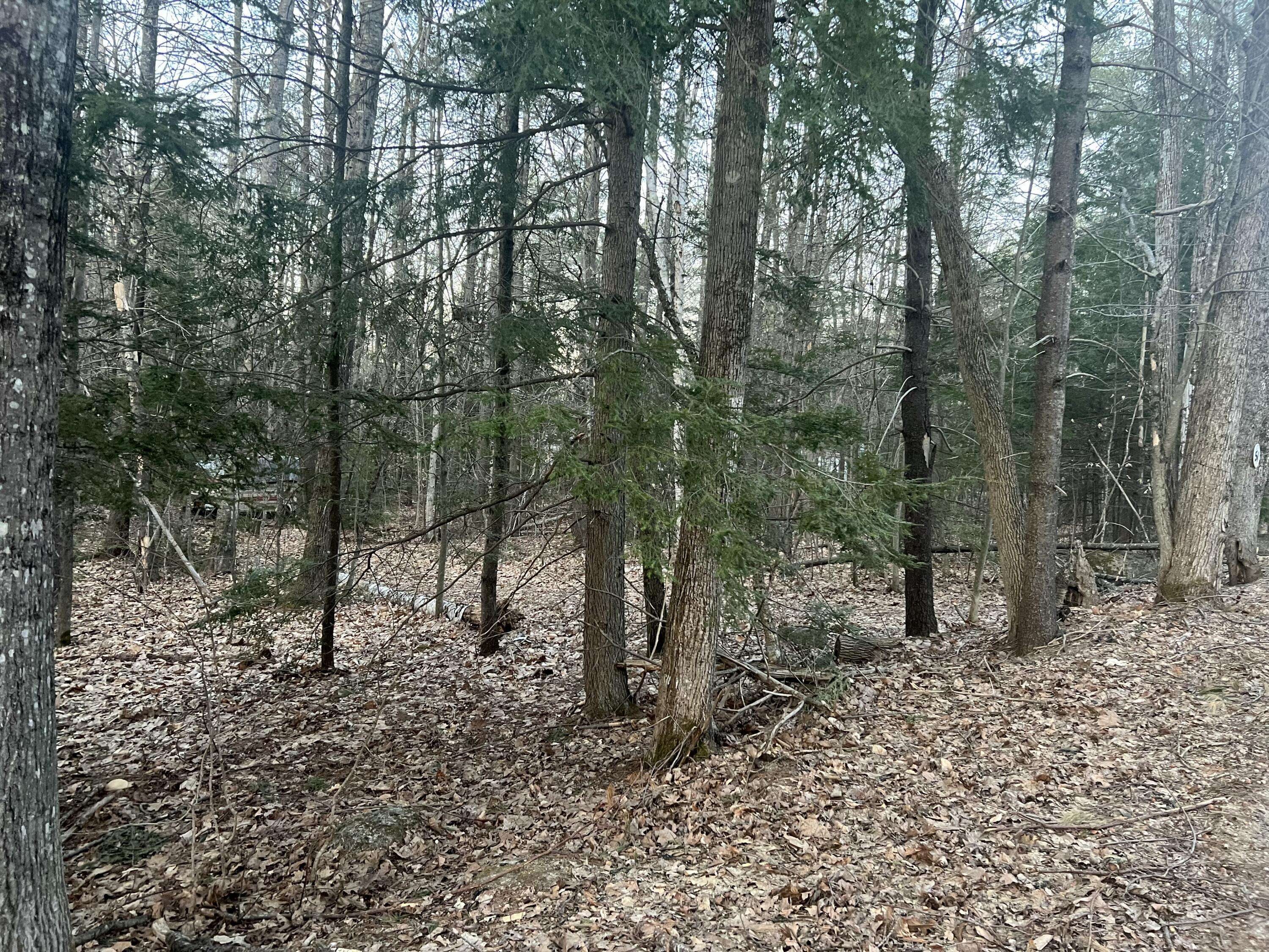 Otisfield, ME 04270,51 Rayville RD