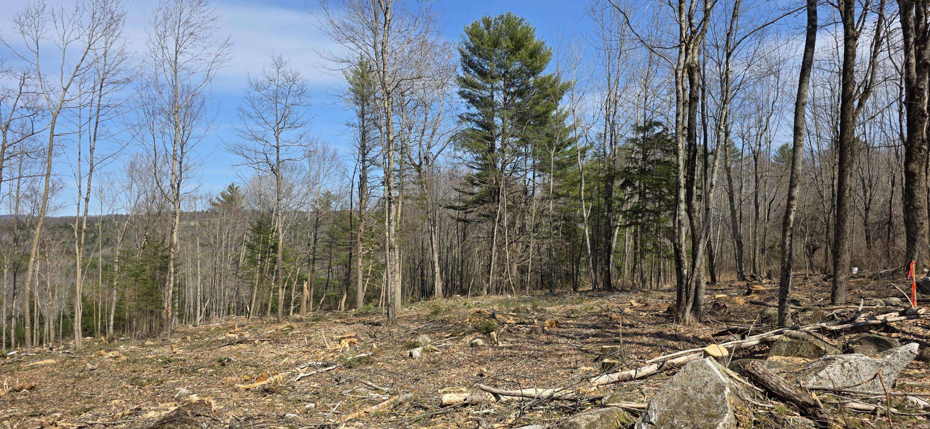 Otisfield, ME 04270,9A-1 Gore RD