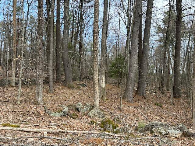 Waterboro, ME 04030,TBD Lot 3 Hooper Hill RD