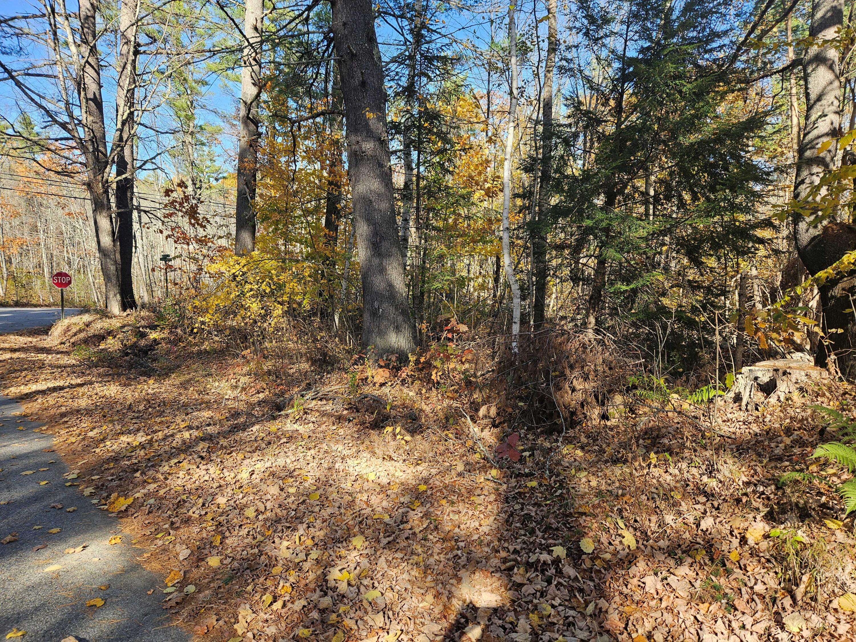Newfield, ME 04095,Lot #013 Staples RD