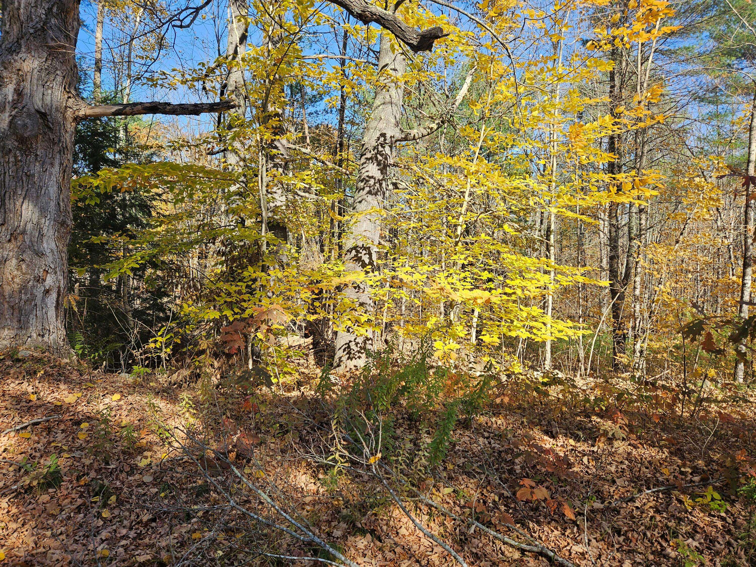 Newfield, ME 04095,Lot #013 Staples RD